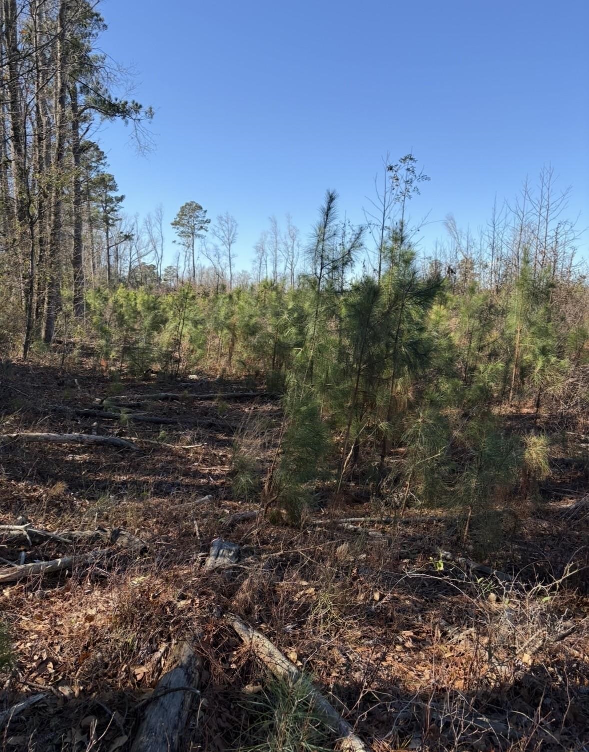 Tbd Vincent Rd Property Photo 3