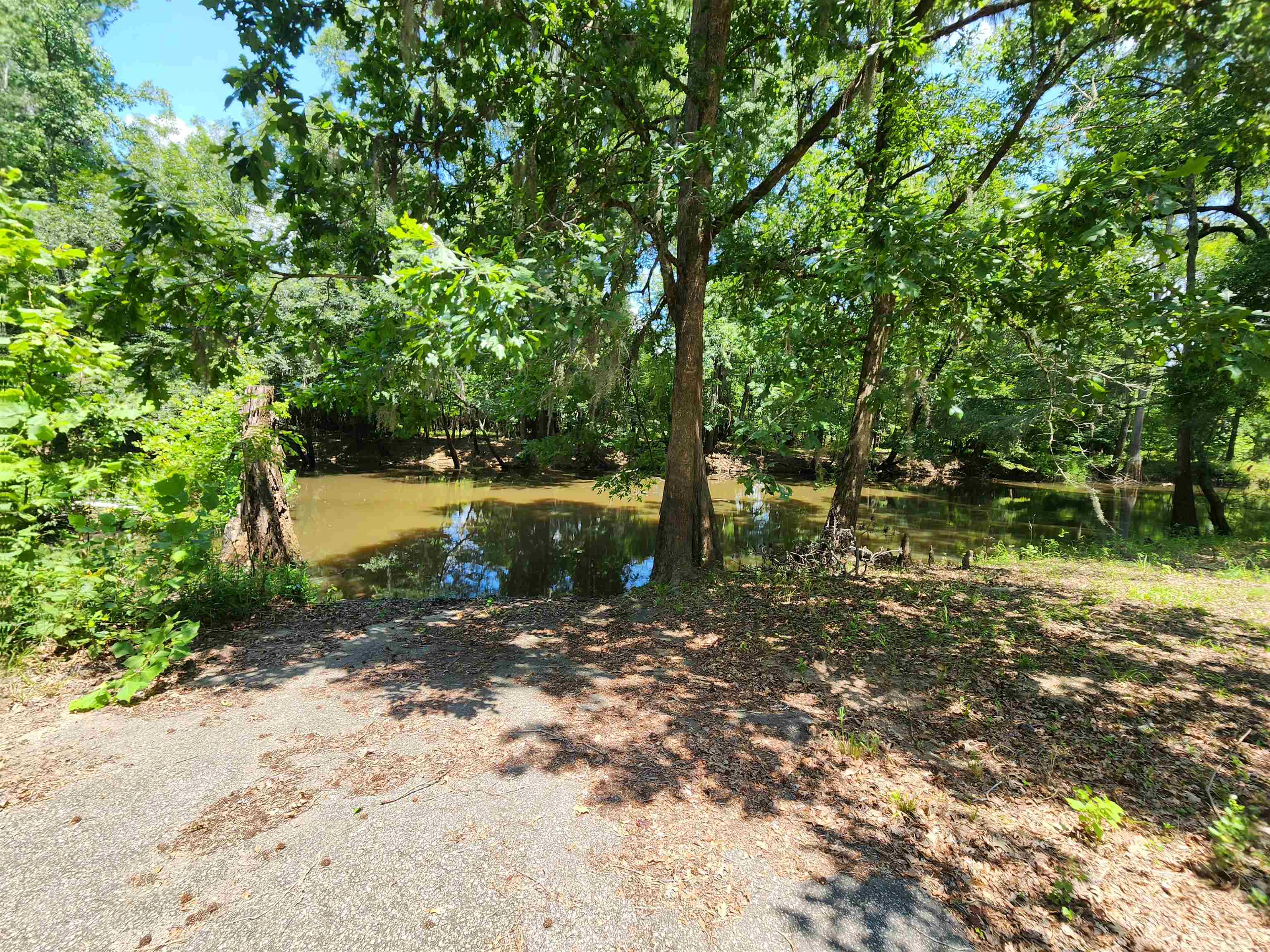 380 Bauer Trail Property Photo 13