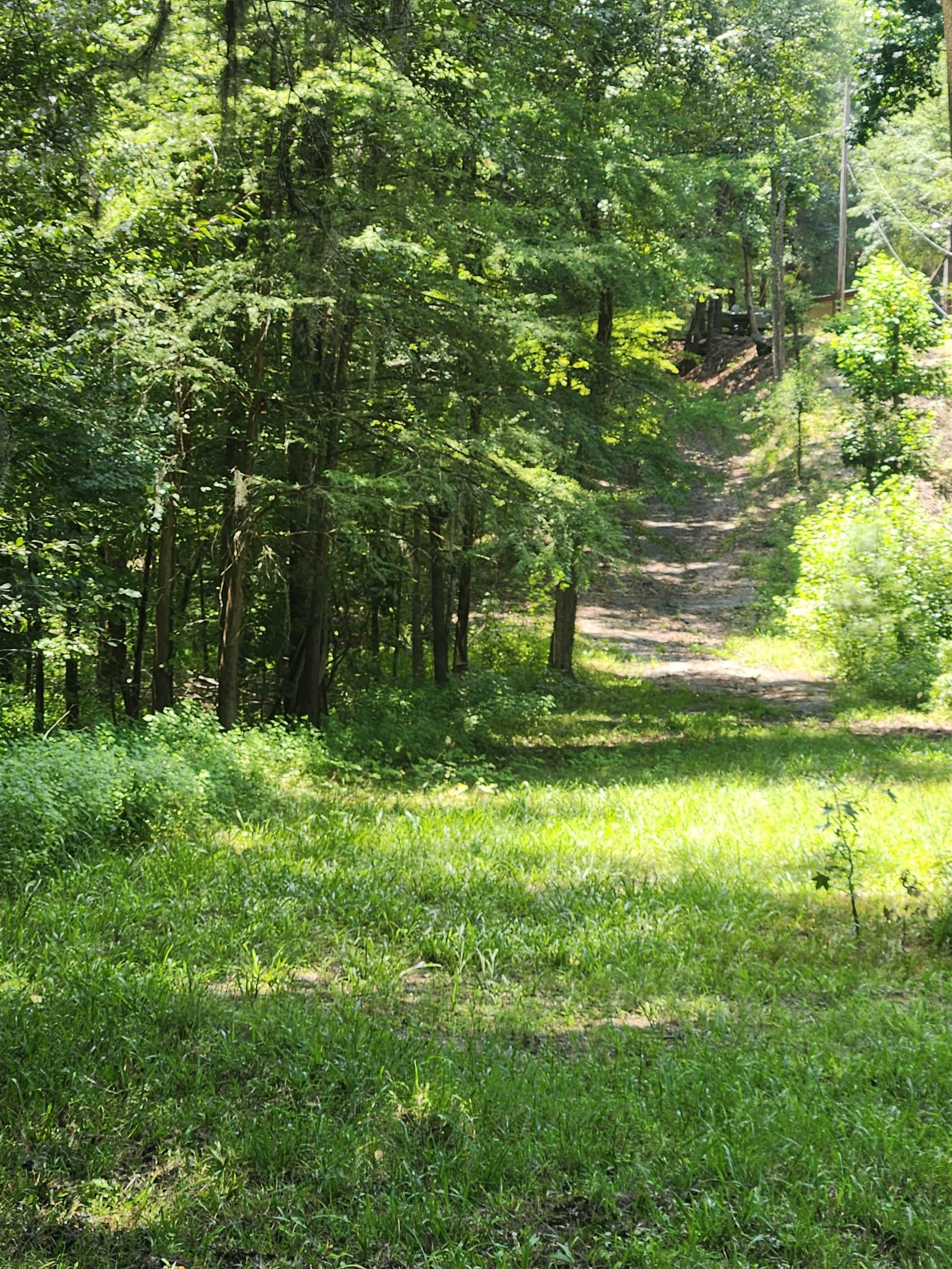 380 Bauer Trail Property Photo 14