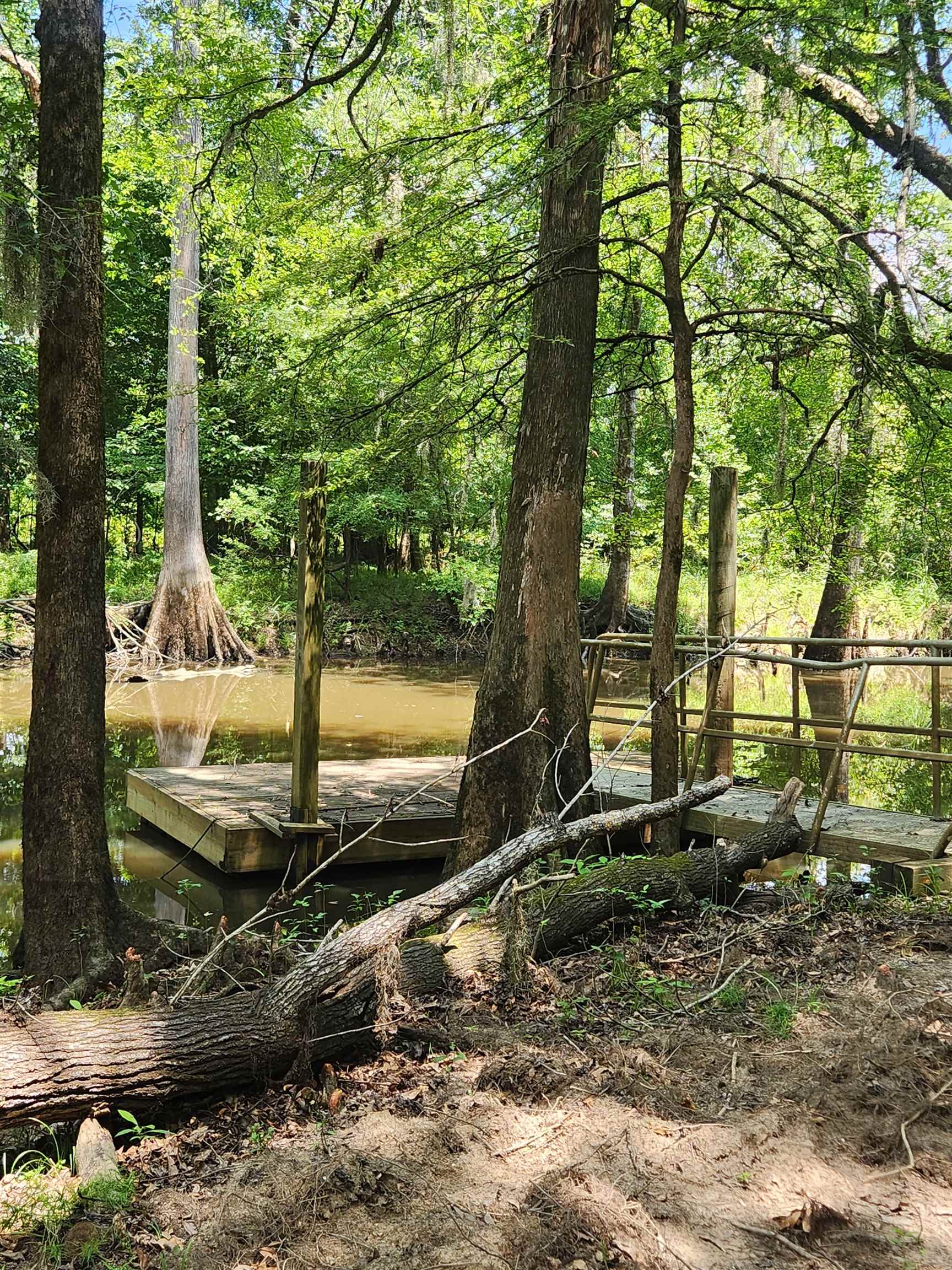 380 Bauer Trail Property Photo 15