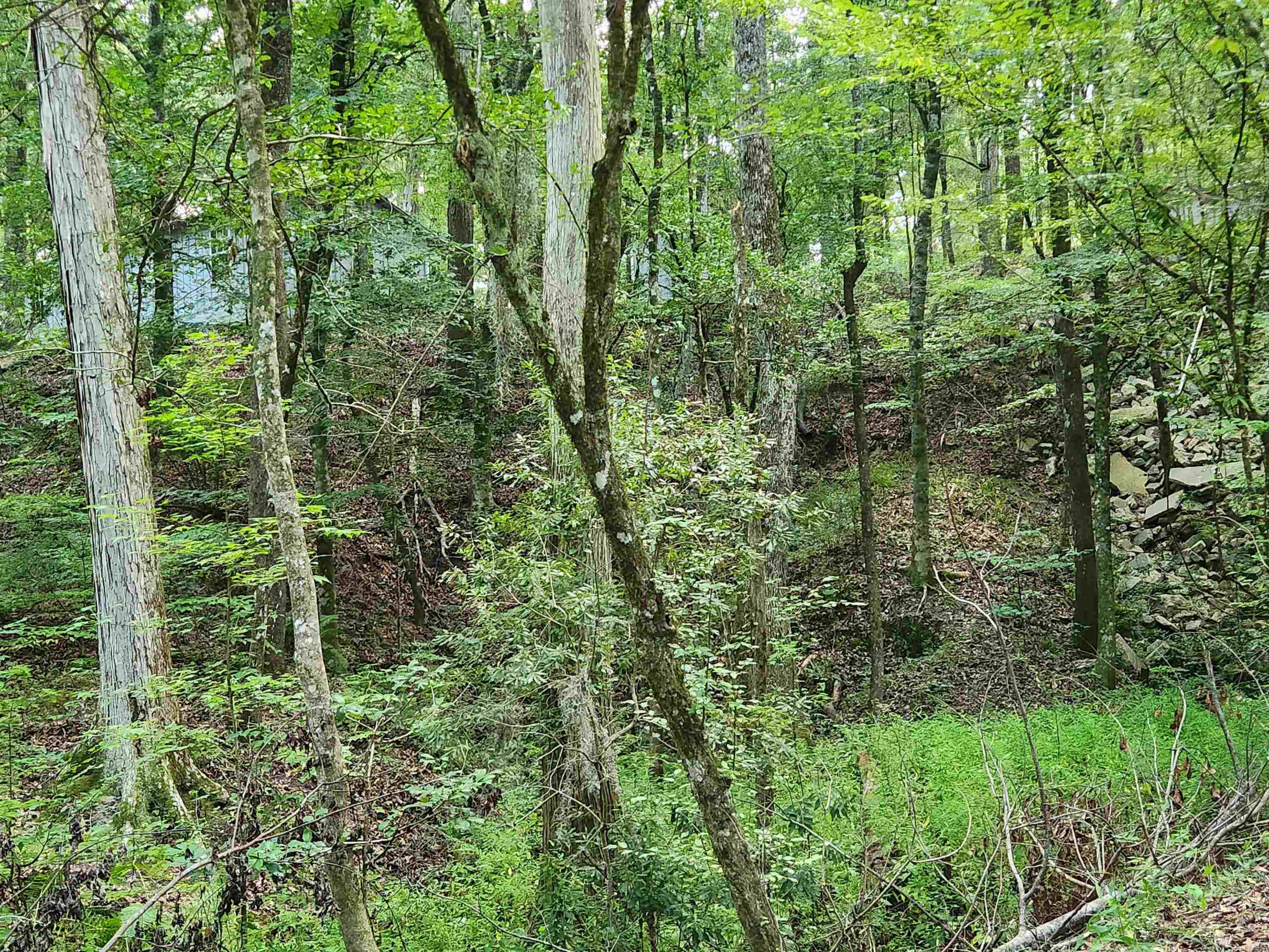380 Bauer Trail Property Photo 16