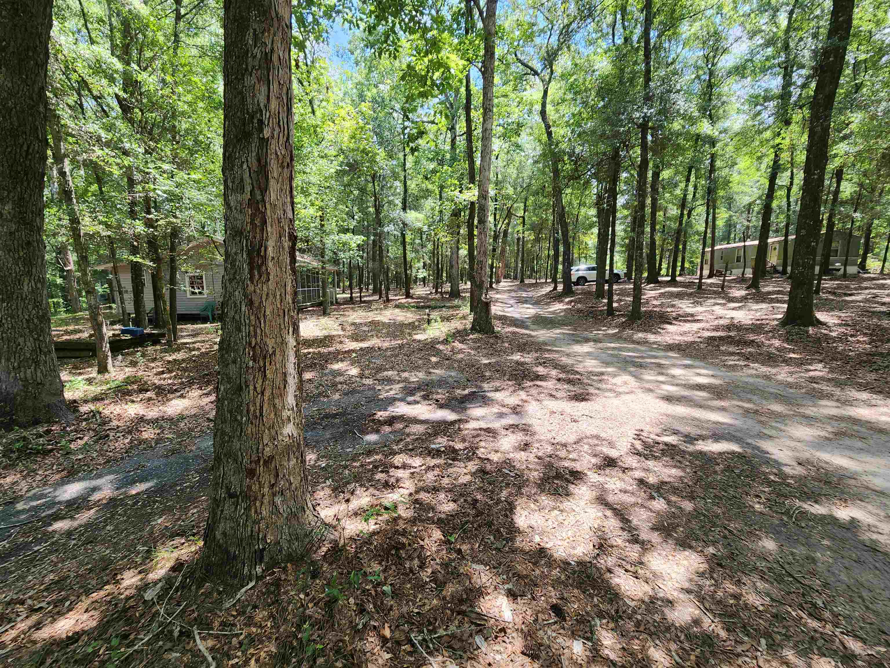 380 Bauer Trail Property Photo 17