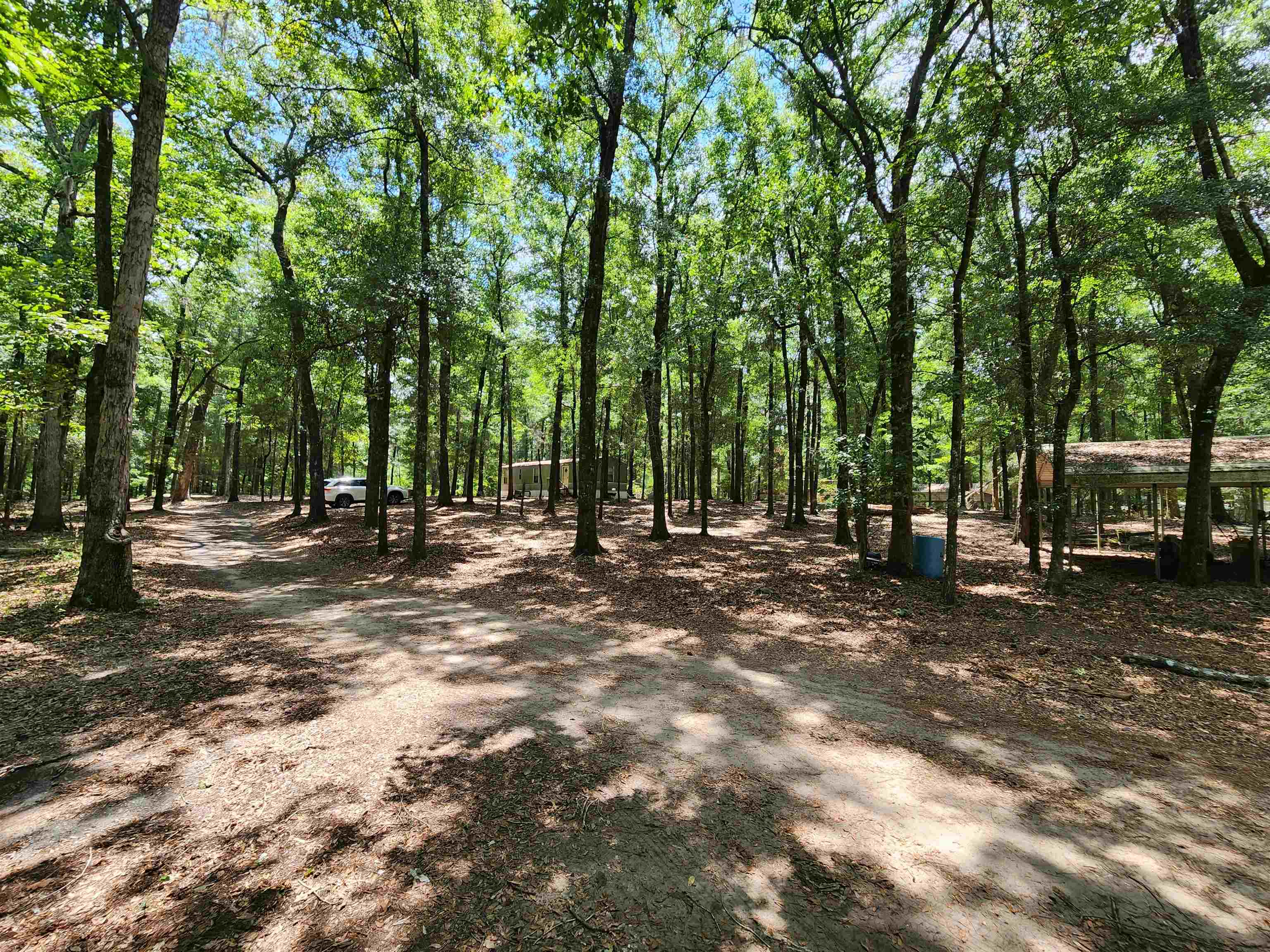 329 Bauer Trail Property Photo 7