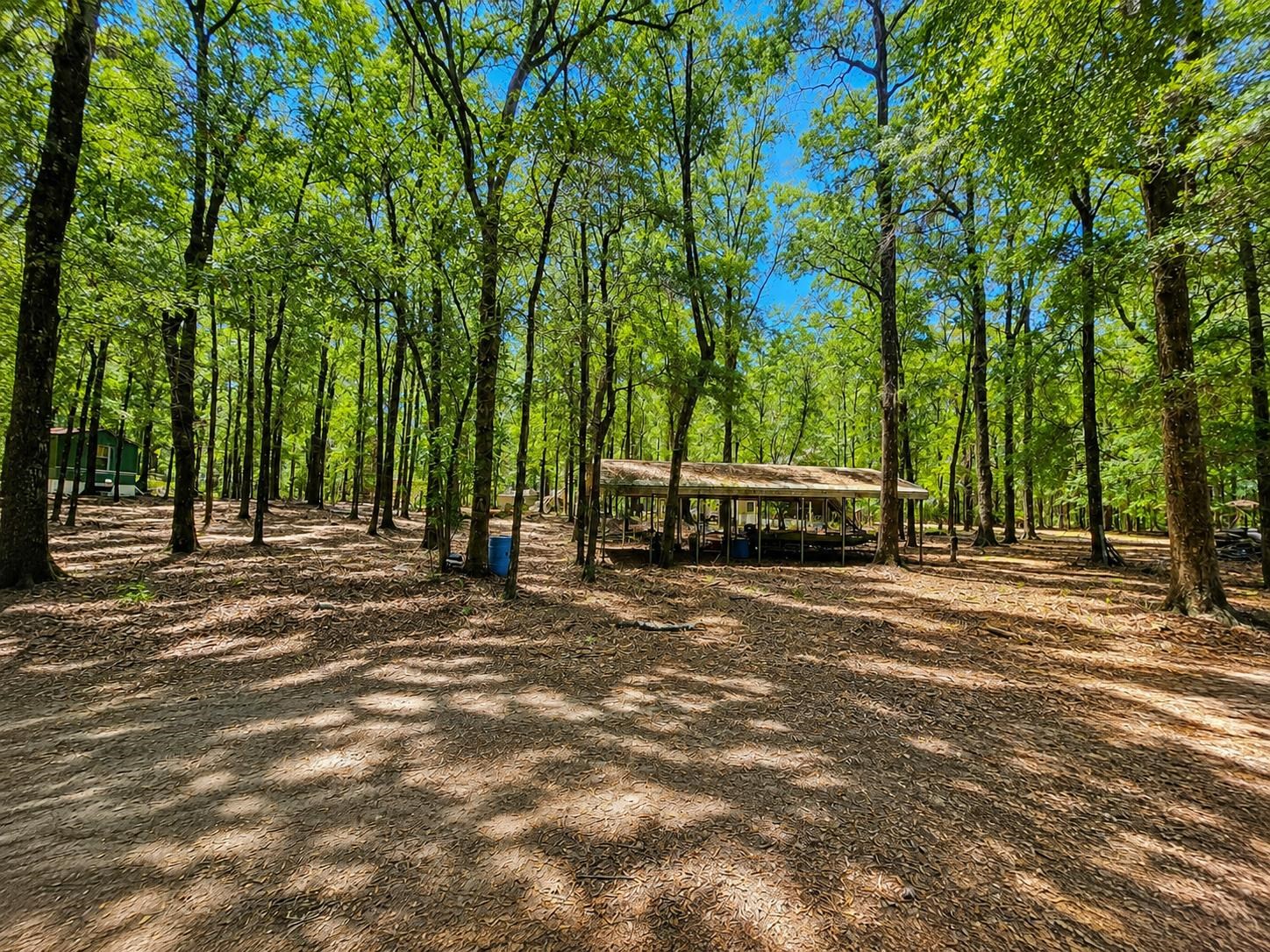 329 Bauer Trail Property Photo 8