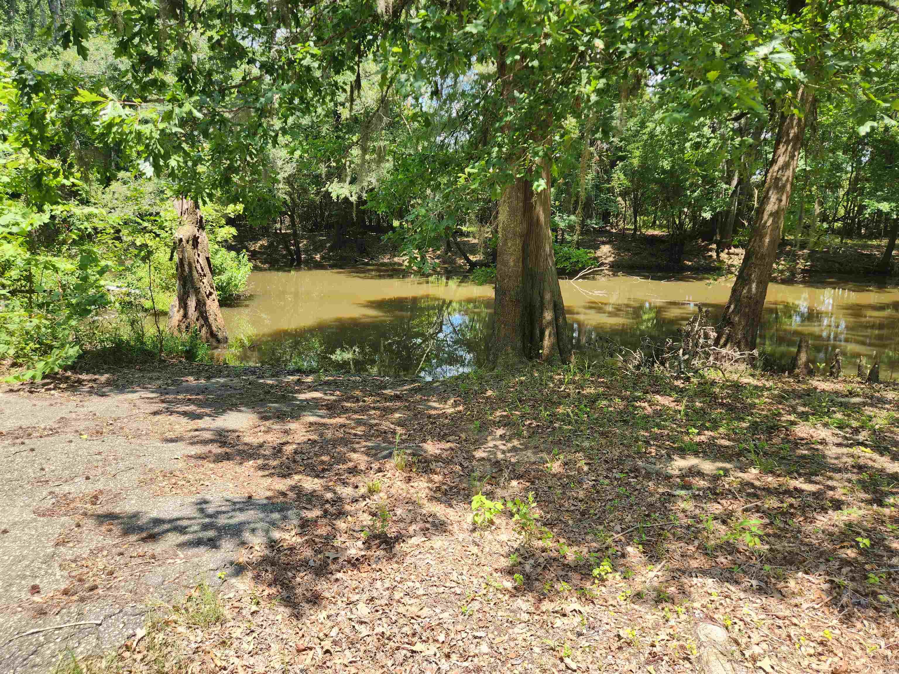 329 Bauer Trail Property Photo 9