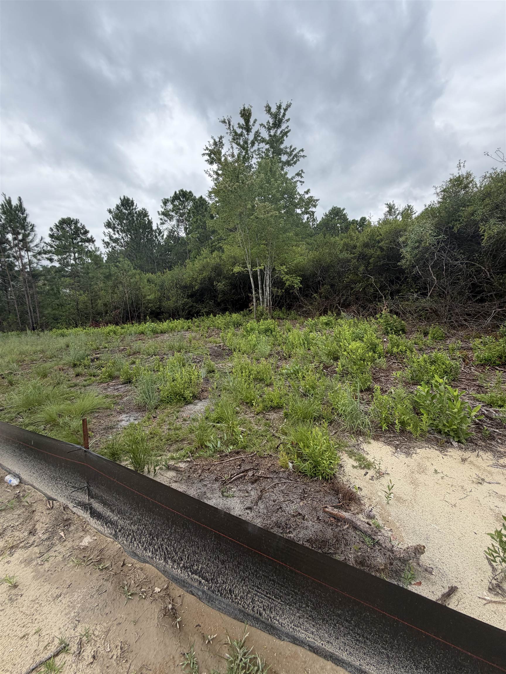 878 Sand Binder Dr. Property Photo 20