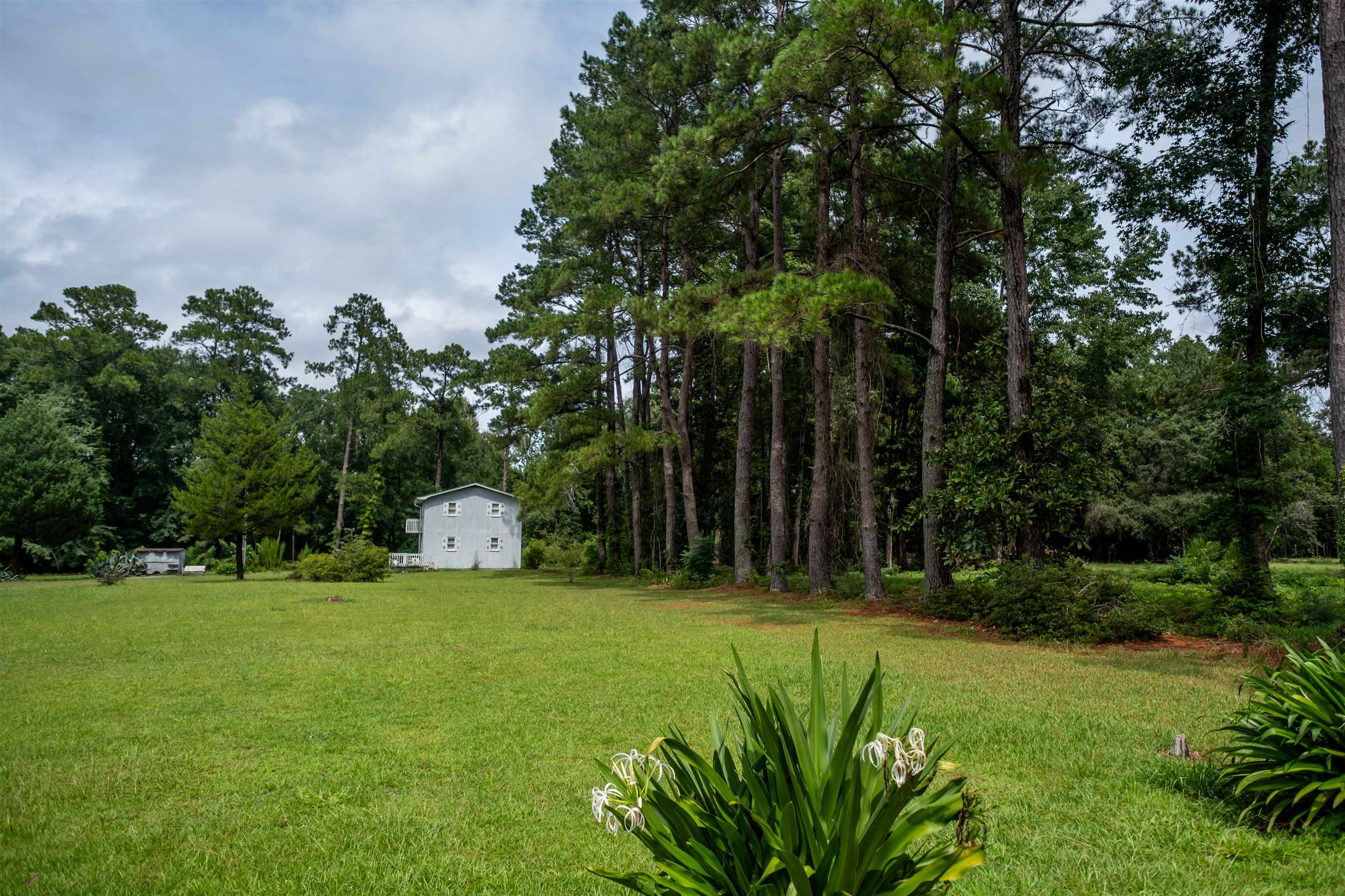 7060 Horseshoe Circle Property Photo 4