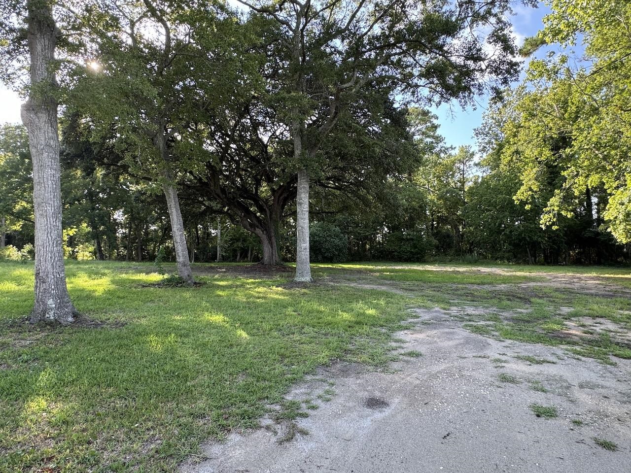 1327 Half Moon Ct. Property Photo 6