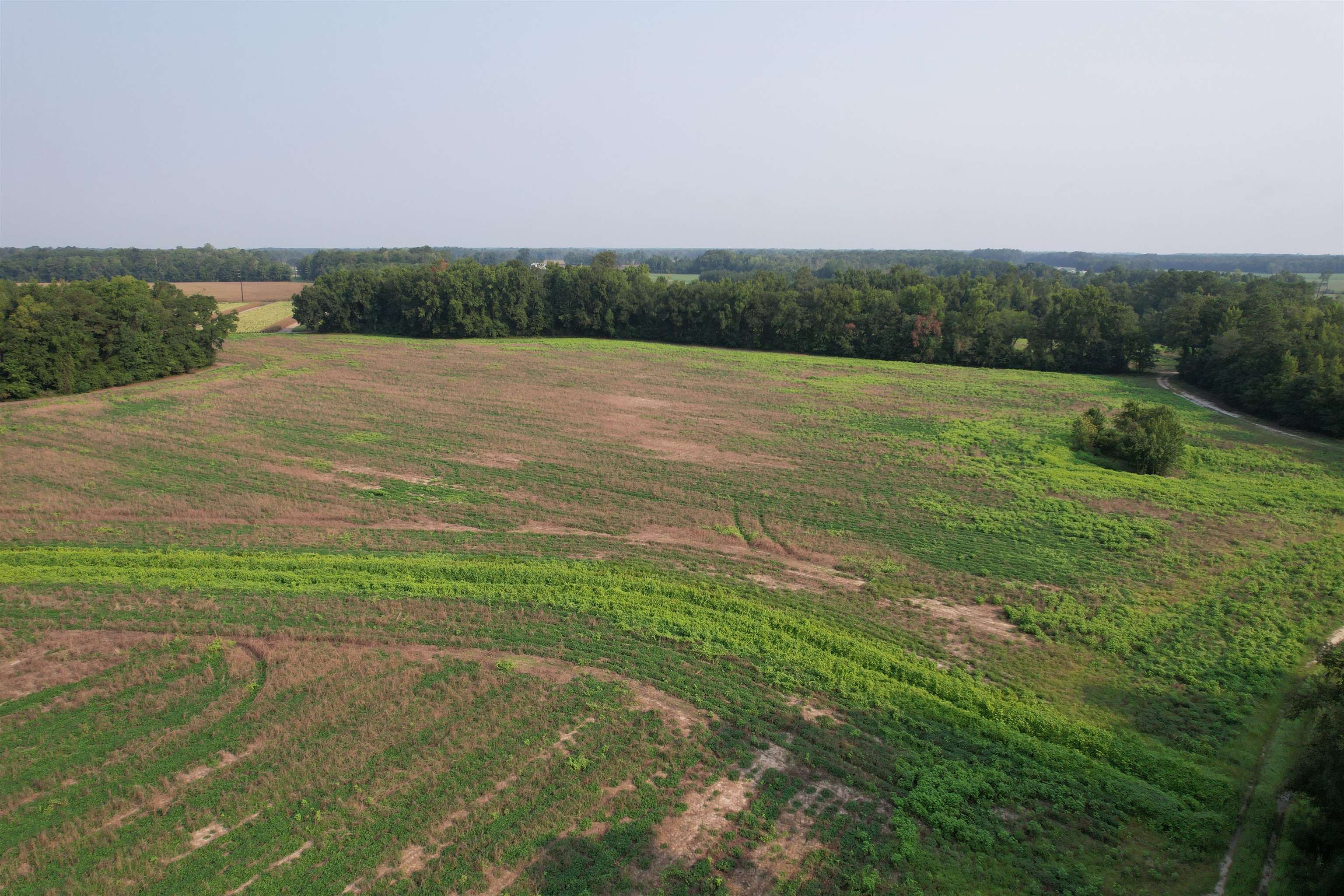 85± Acres - Antler Dr Property Photo 1