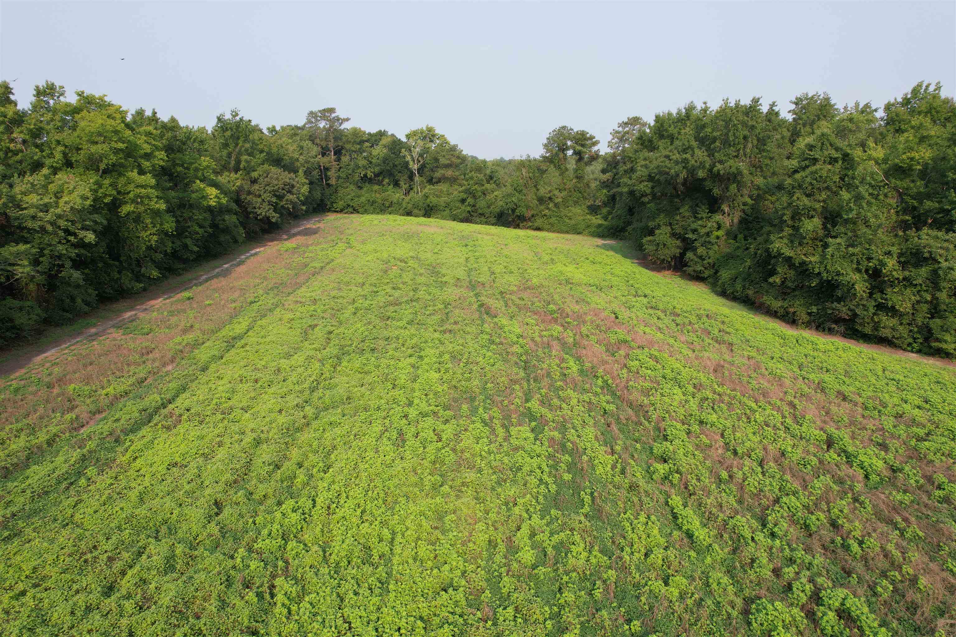 85± Acres - Antler Dr Property Photo 3