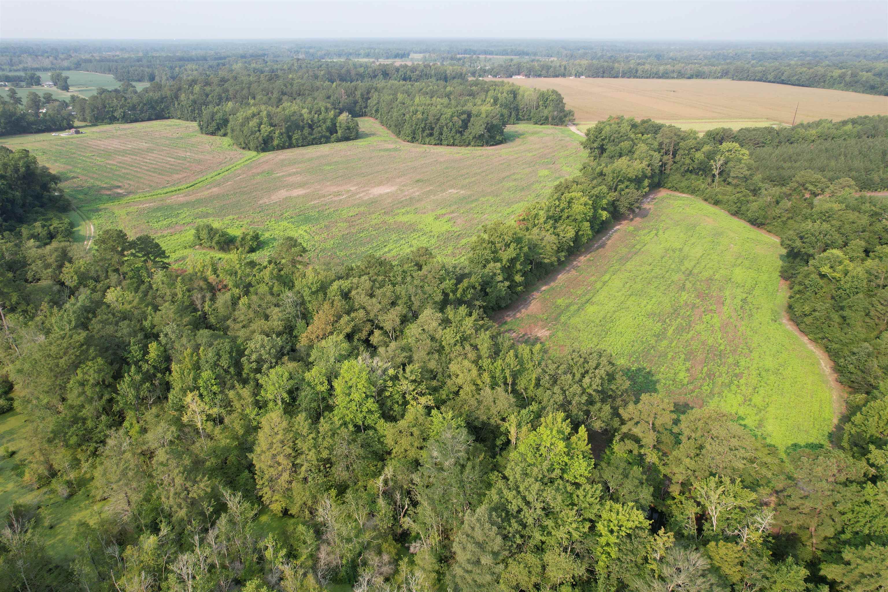 85± Acres - Antler Dr Property Photo 4