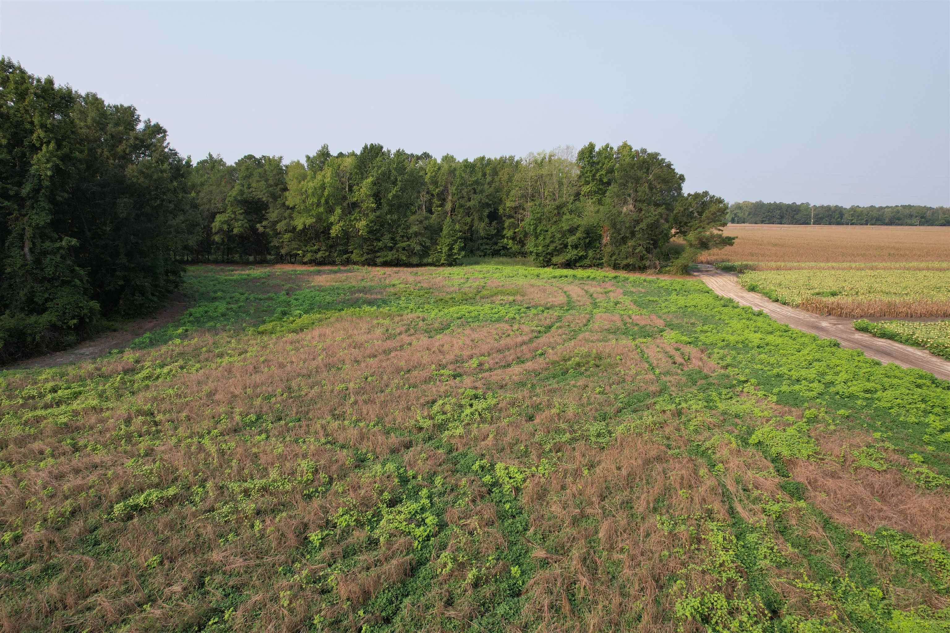 85± Acres - Antler Dr Property Photo 5