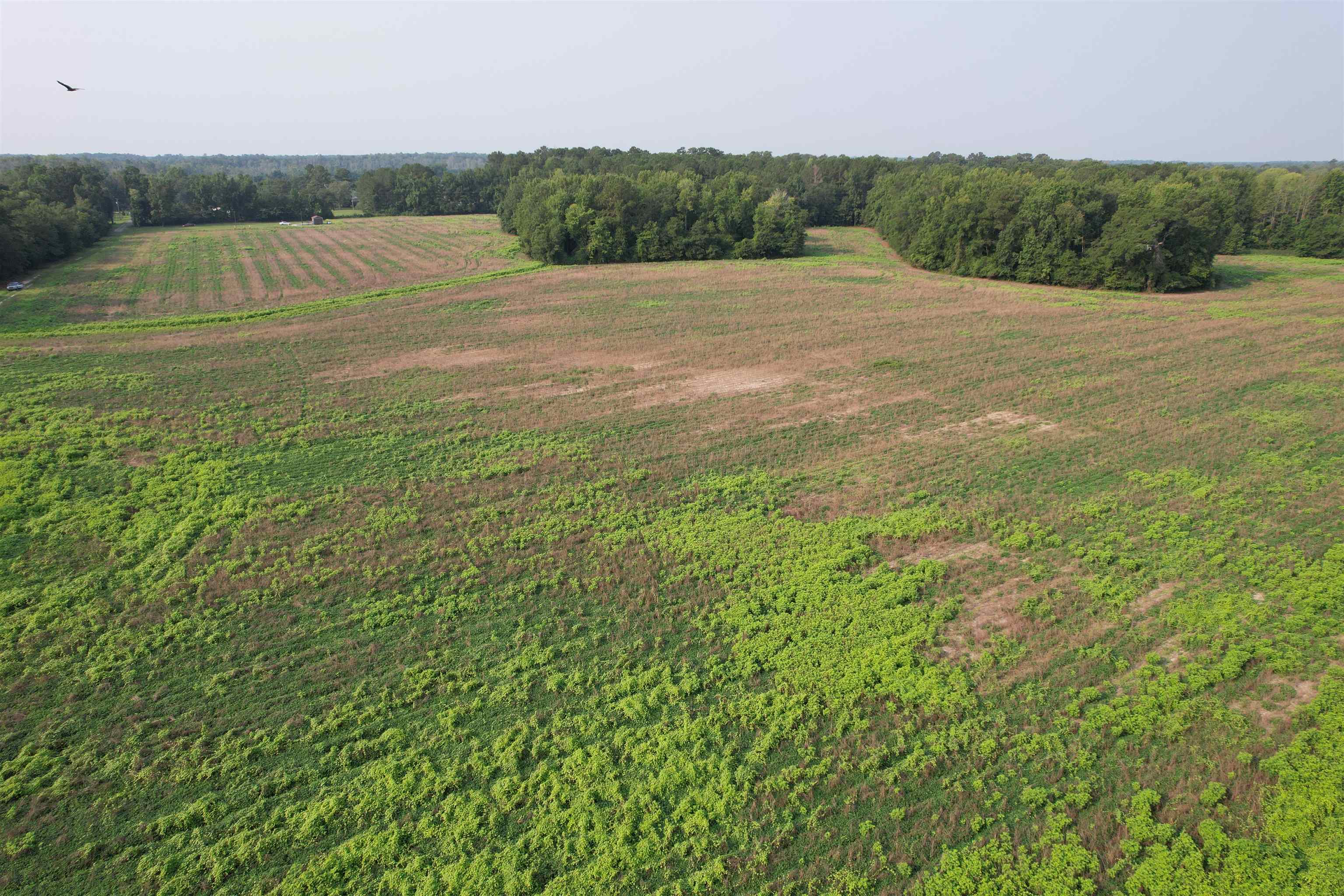 85± Acres - Antler Dr Property Photo 6