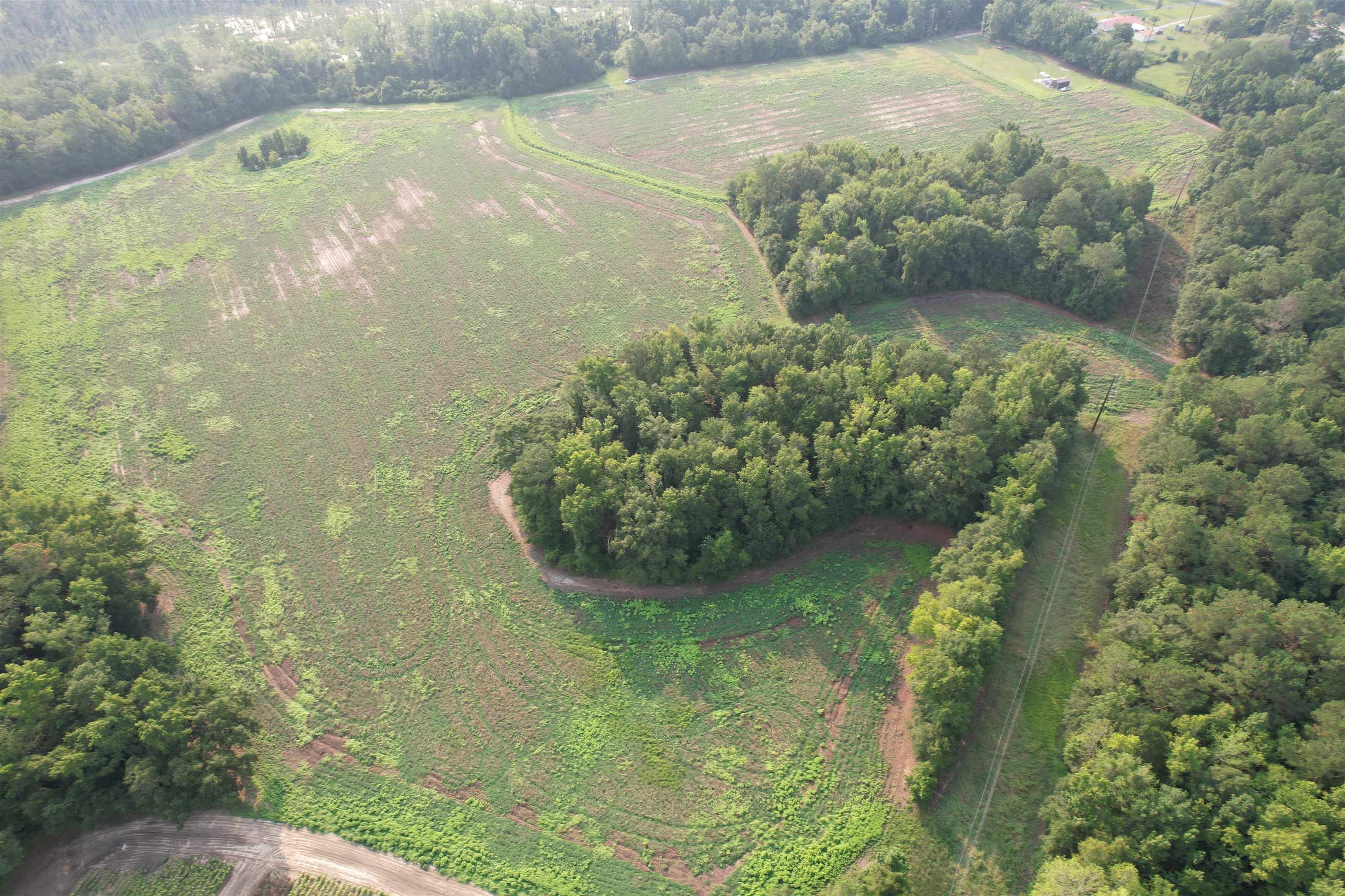 85± Acres - Antler Dr Property Photo 7