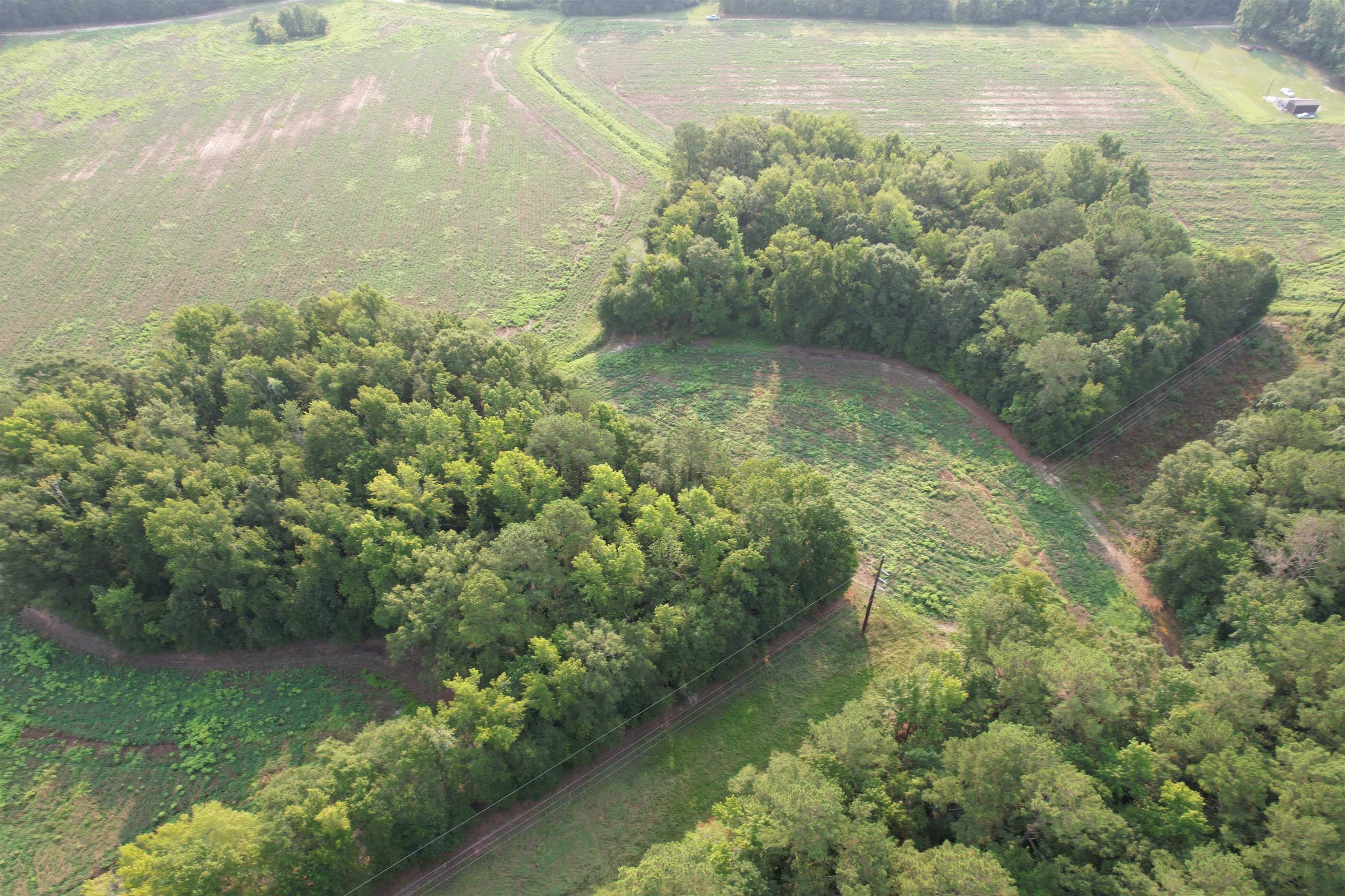 85± Acres - Antler Dr Property Photo 8