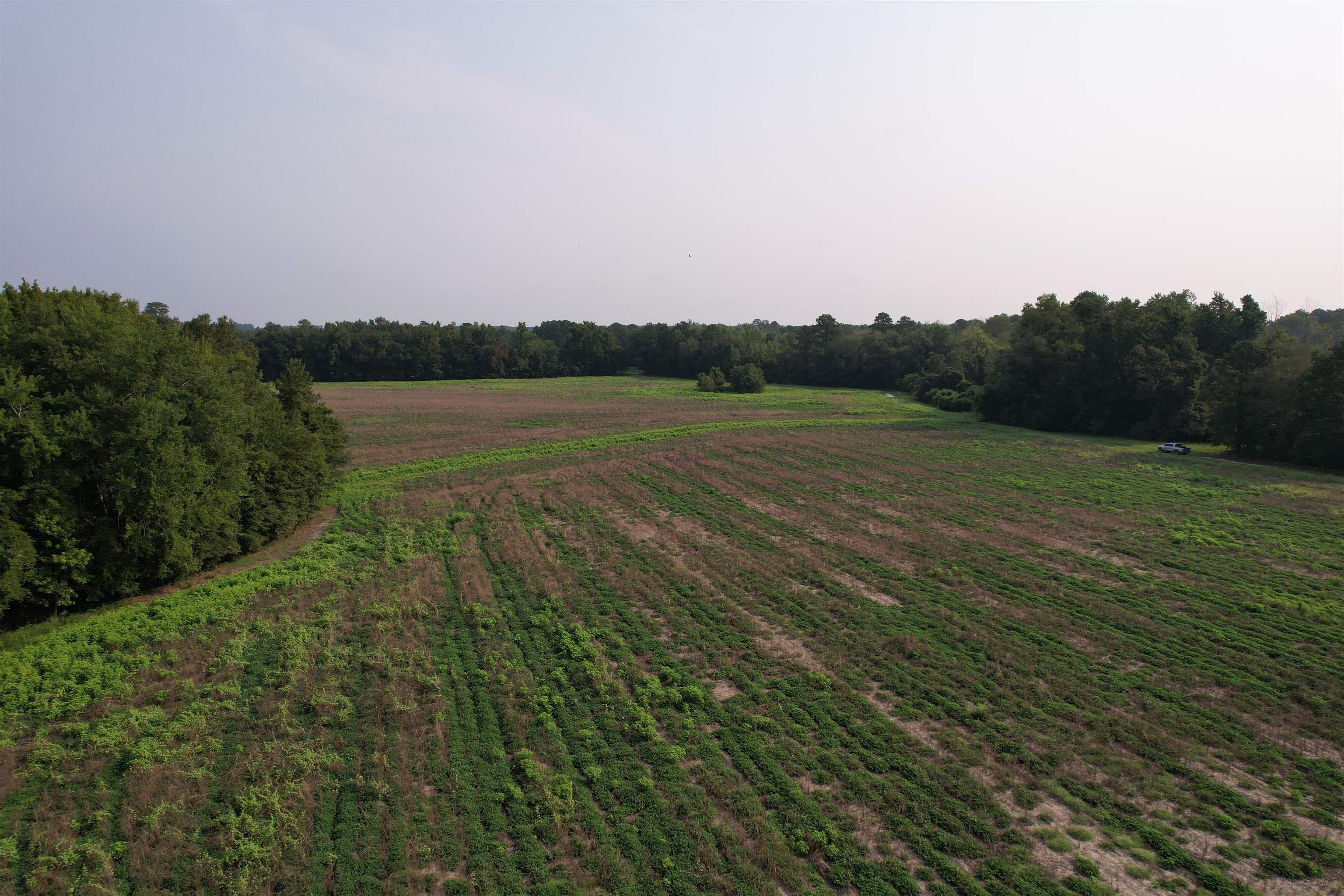 85± Acres - Antler Dr Property Photo 9