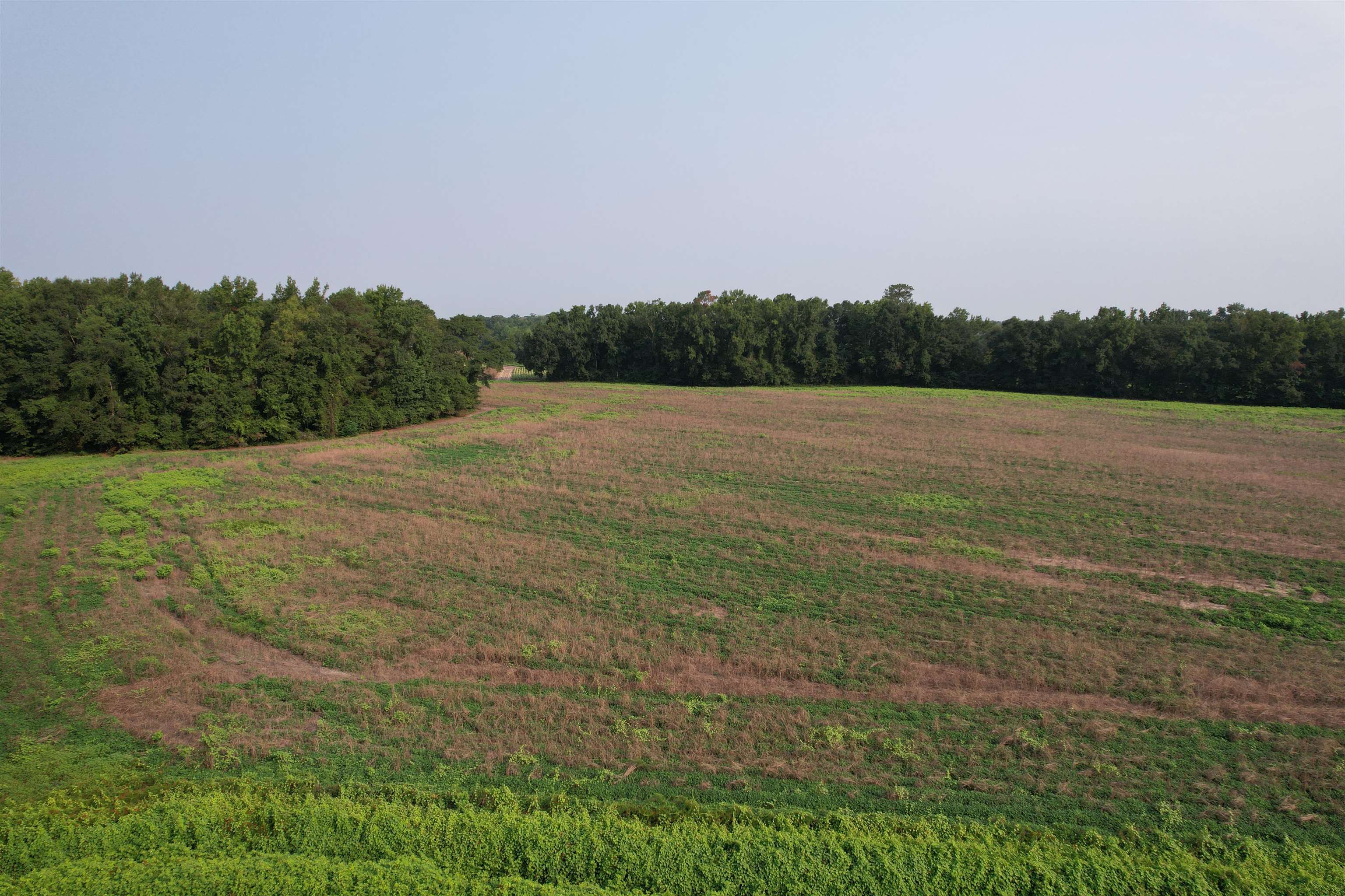 85± Acres - Antler Dr Property Photo 10