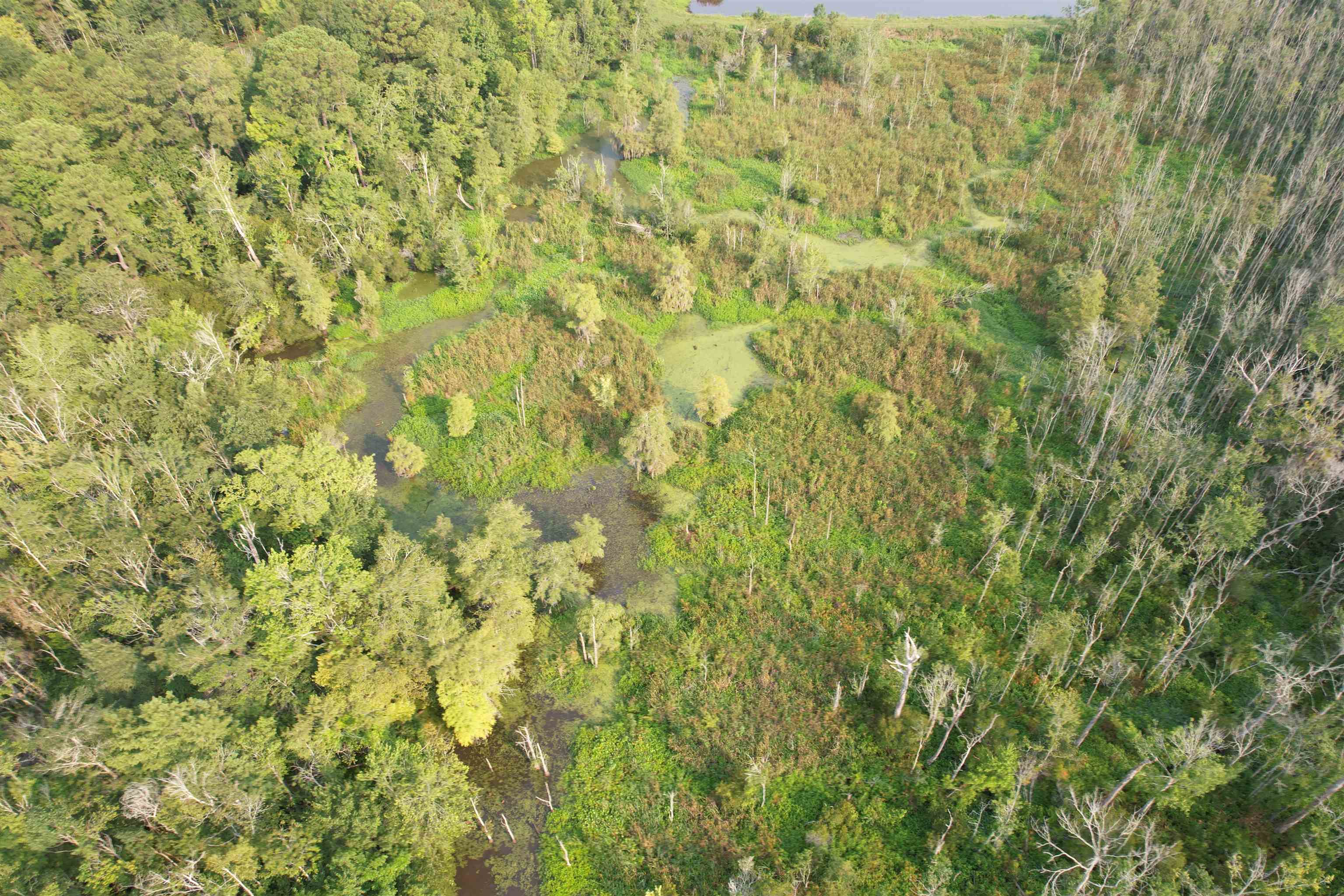 85± Acres - Antler Dr Property Photo 12