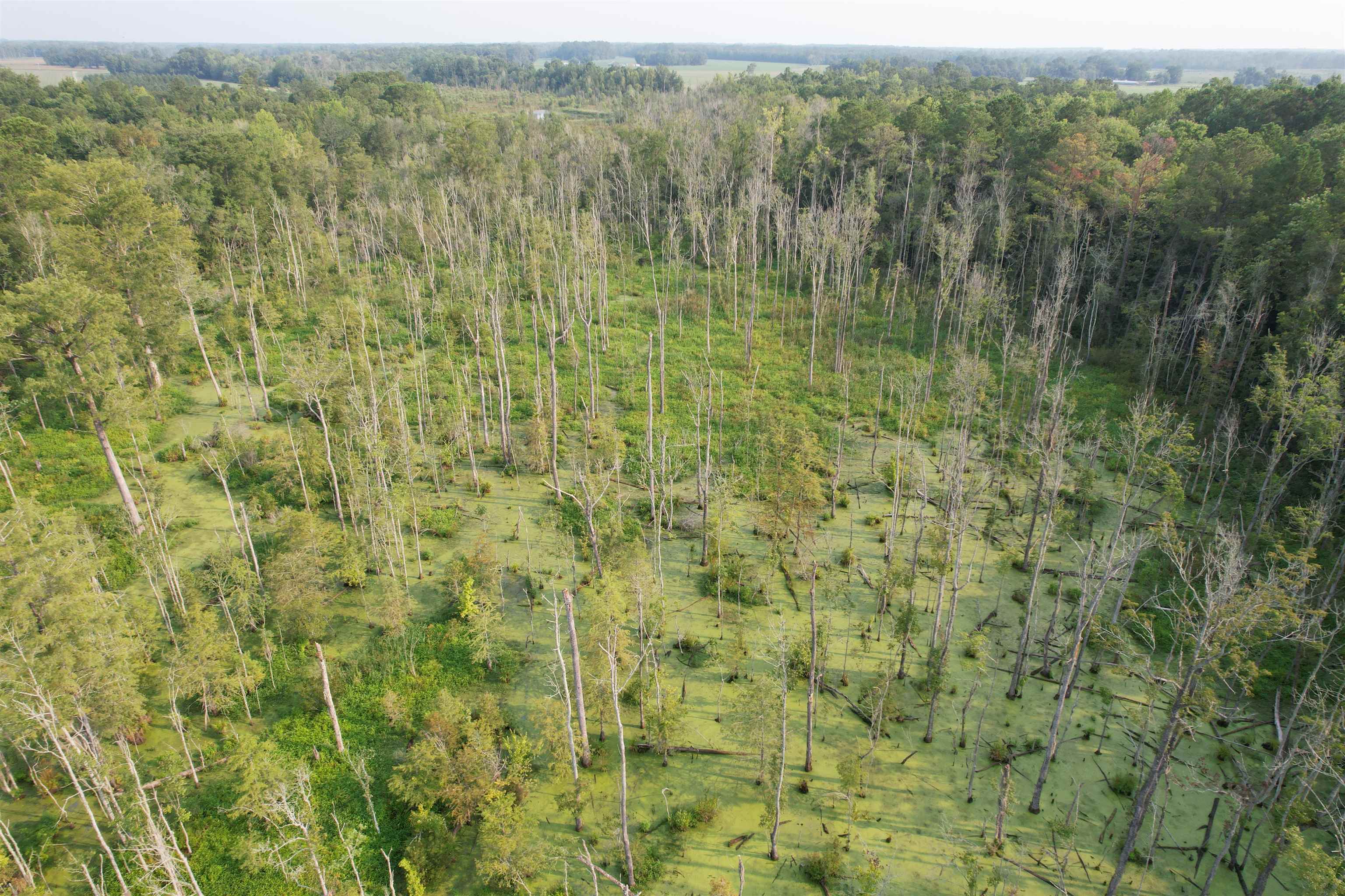 85± Acres - Antler Dr Property Photo 13