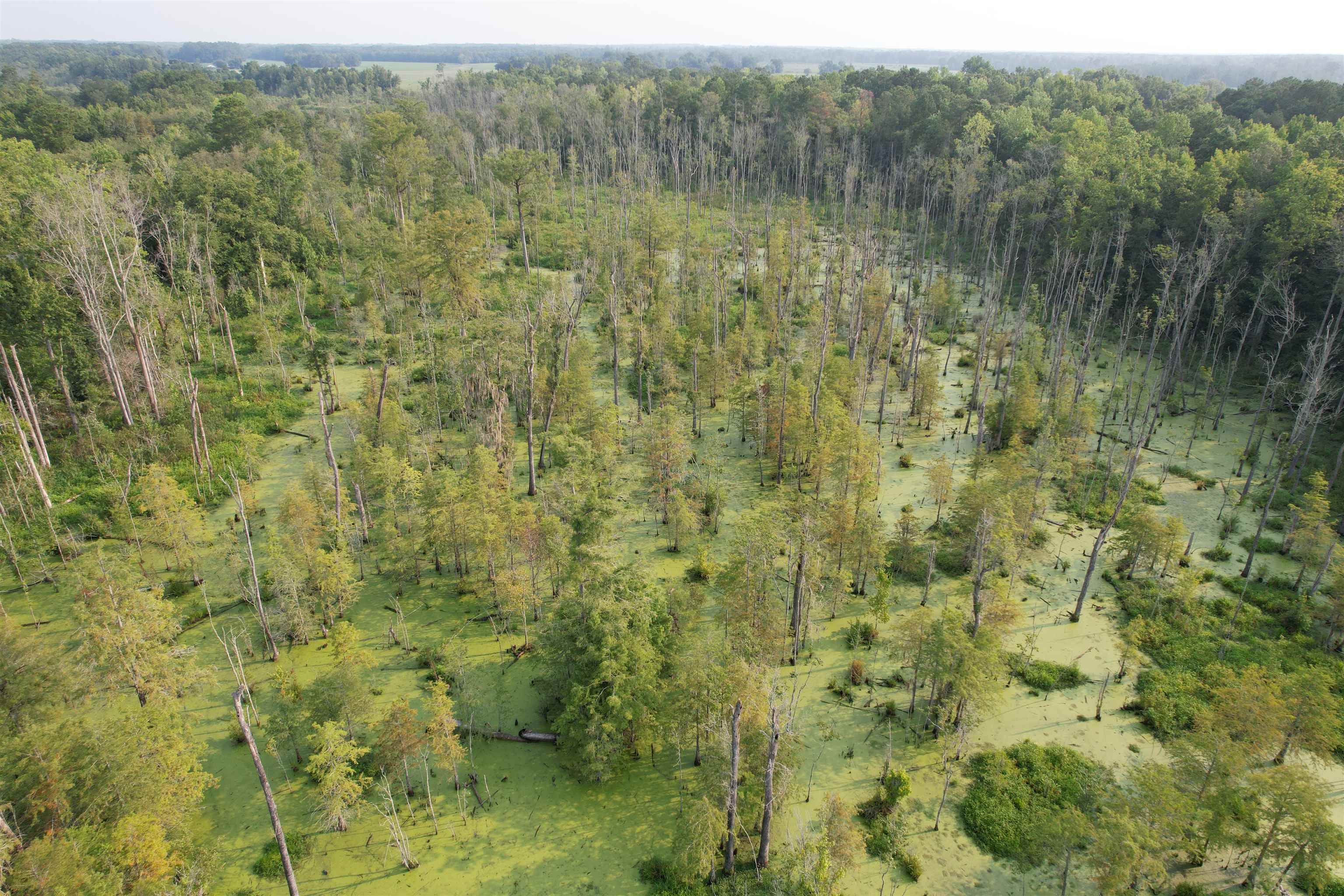 85± Acres - Antler Dr Property Photo 14