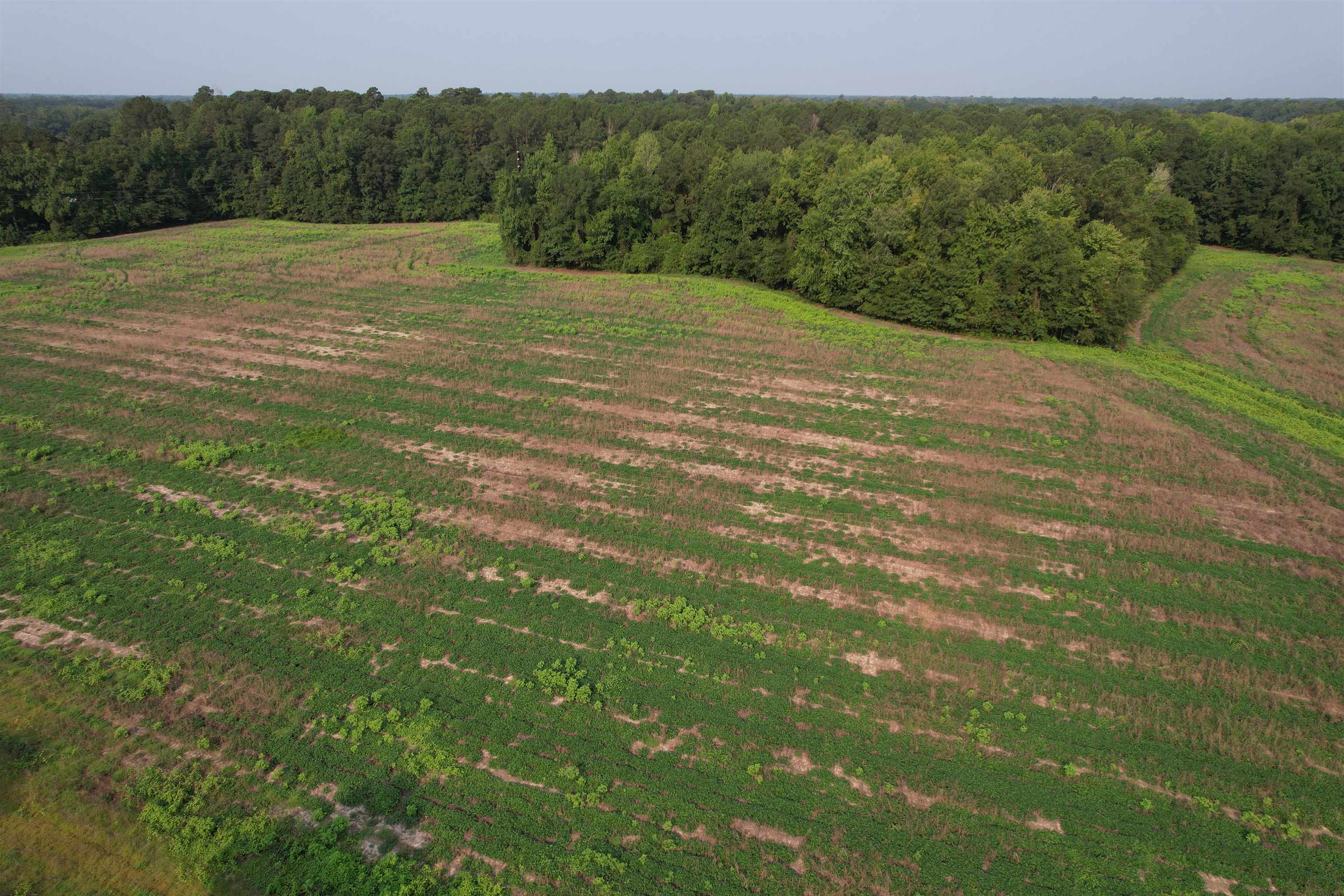85± Acres - Antler Dr Property Photo 15