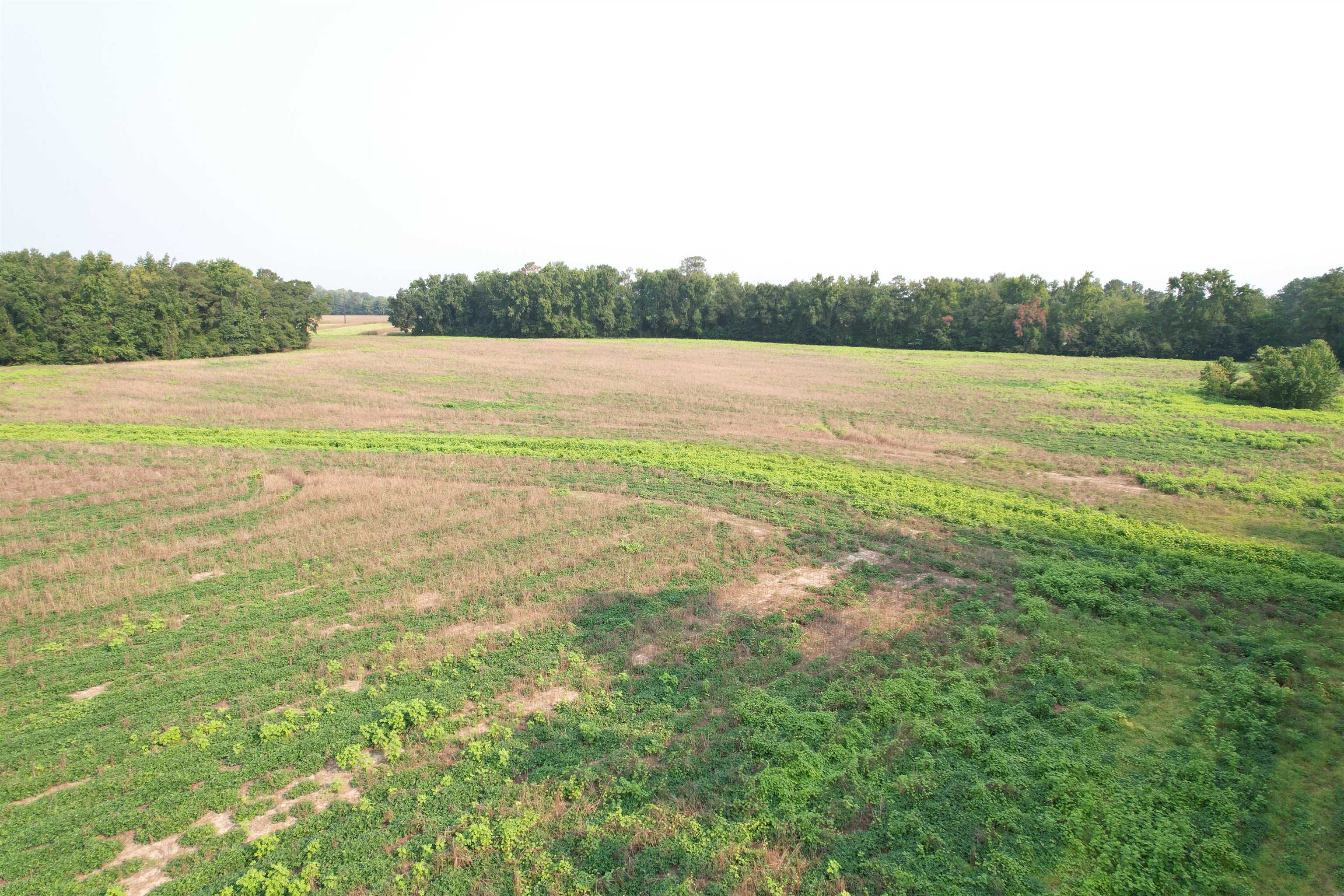 85± Acres - Antler Dr Property Photo 16