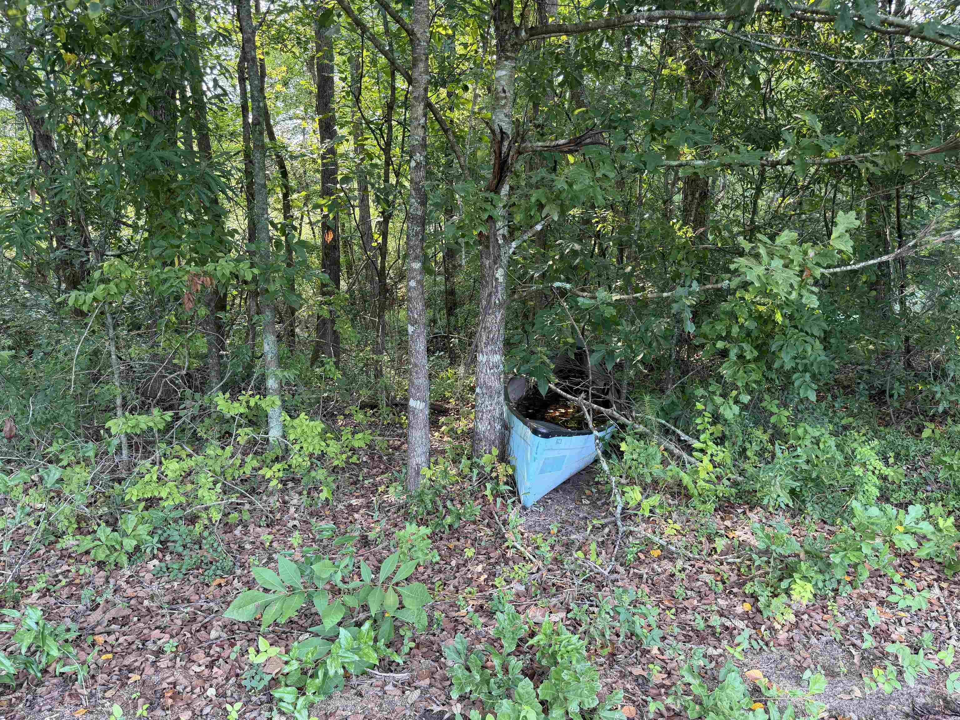 85± Acres - Antler Dr Property Photo 17