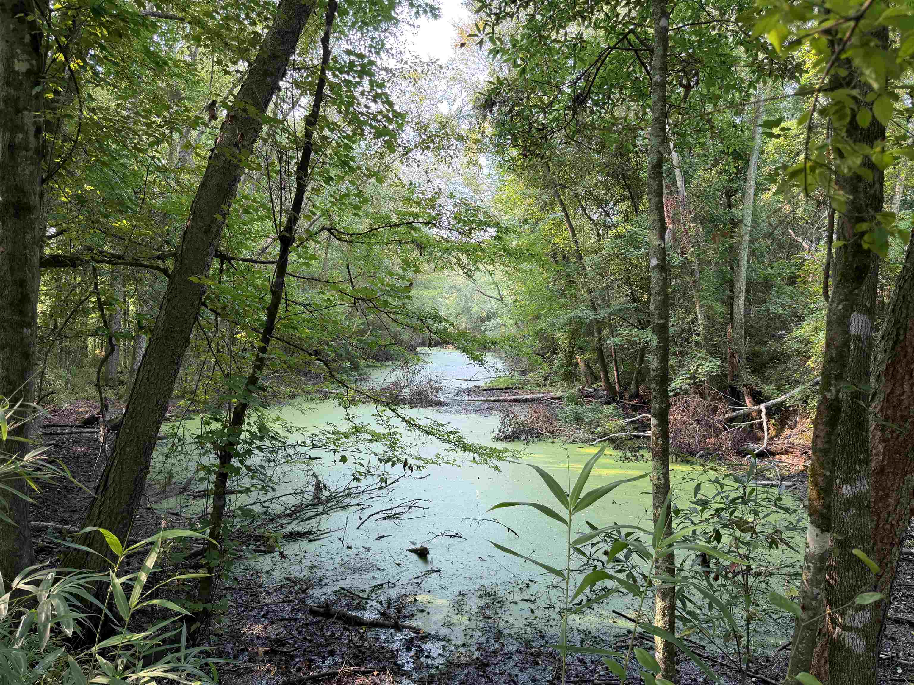 85± Acres - Antler Dr Property Photo 18