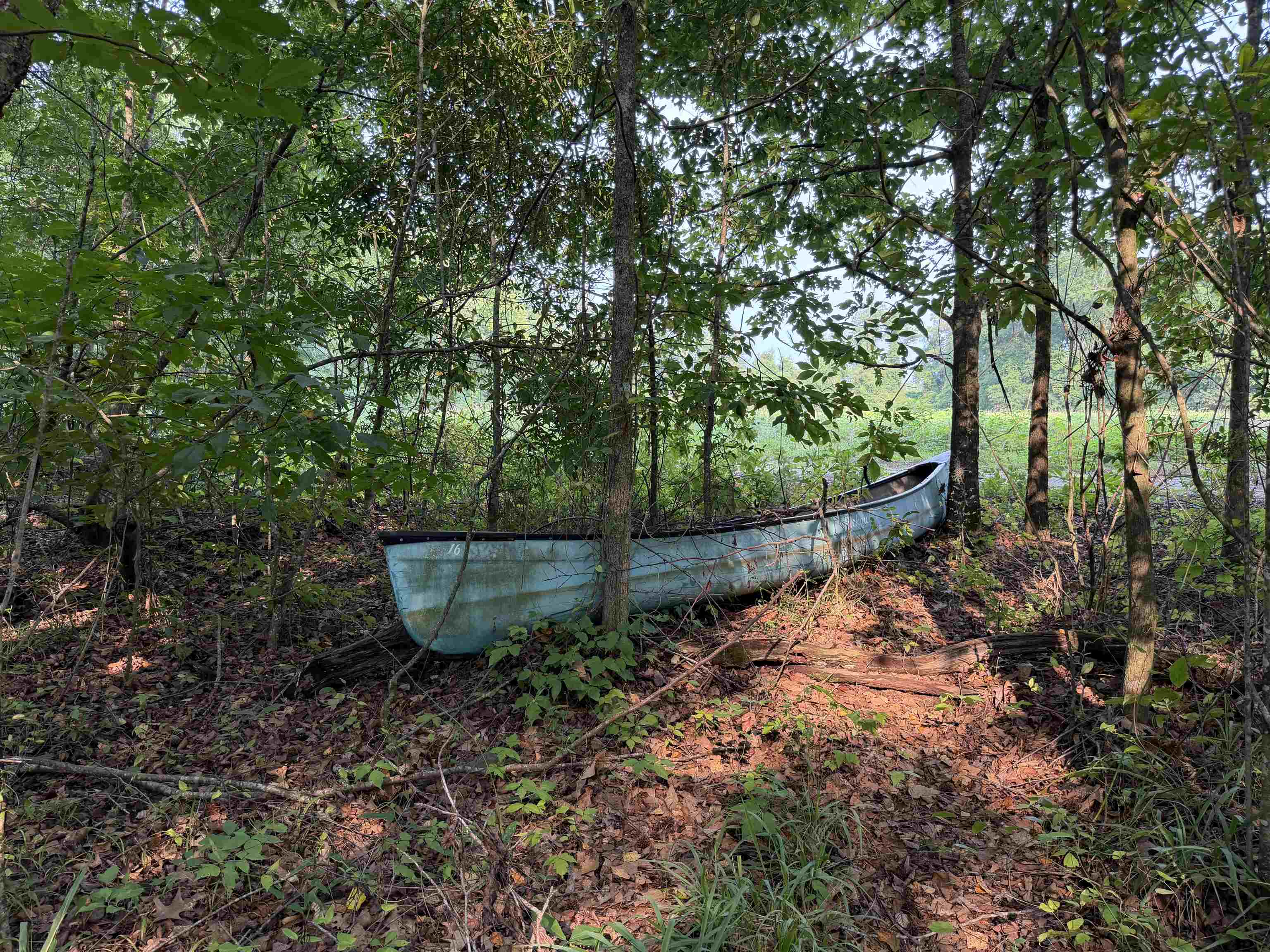 85± Acres - Antler Dr Property Photo 19