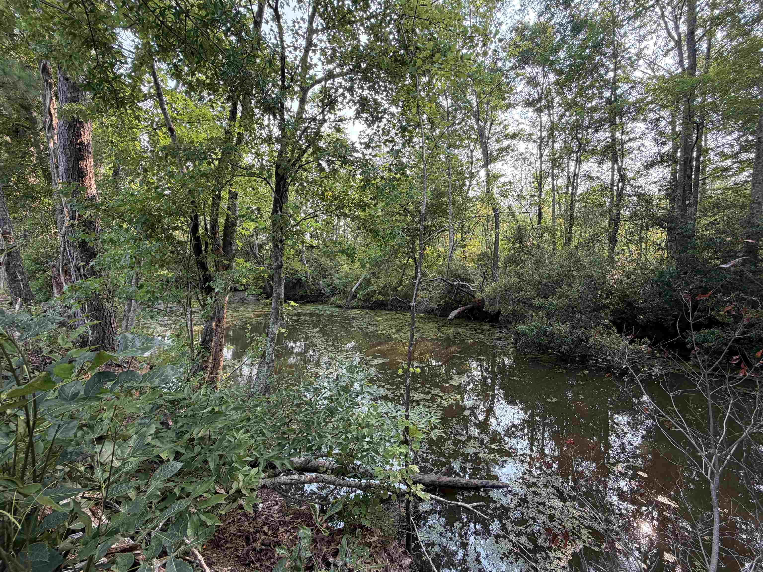 85± Acres - Antler Dr Property Photo 20