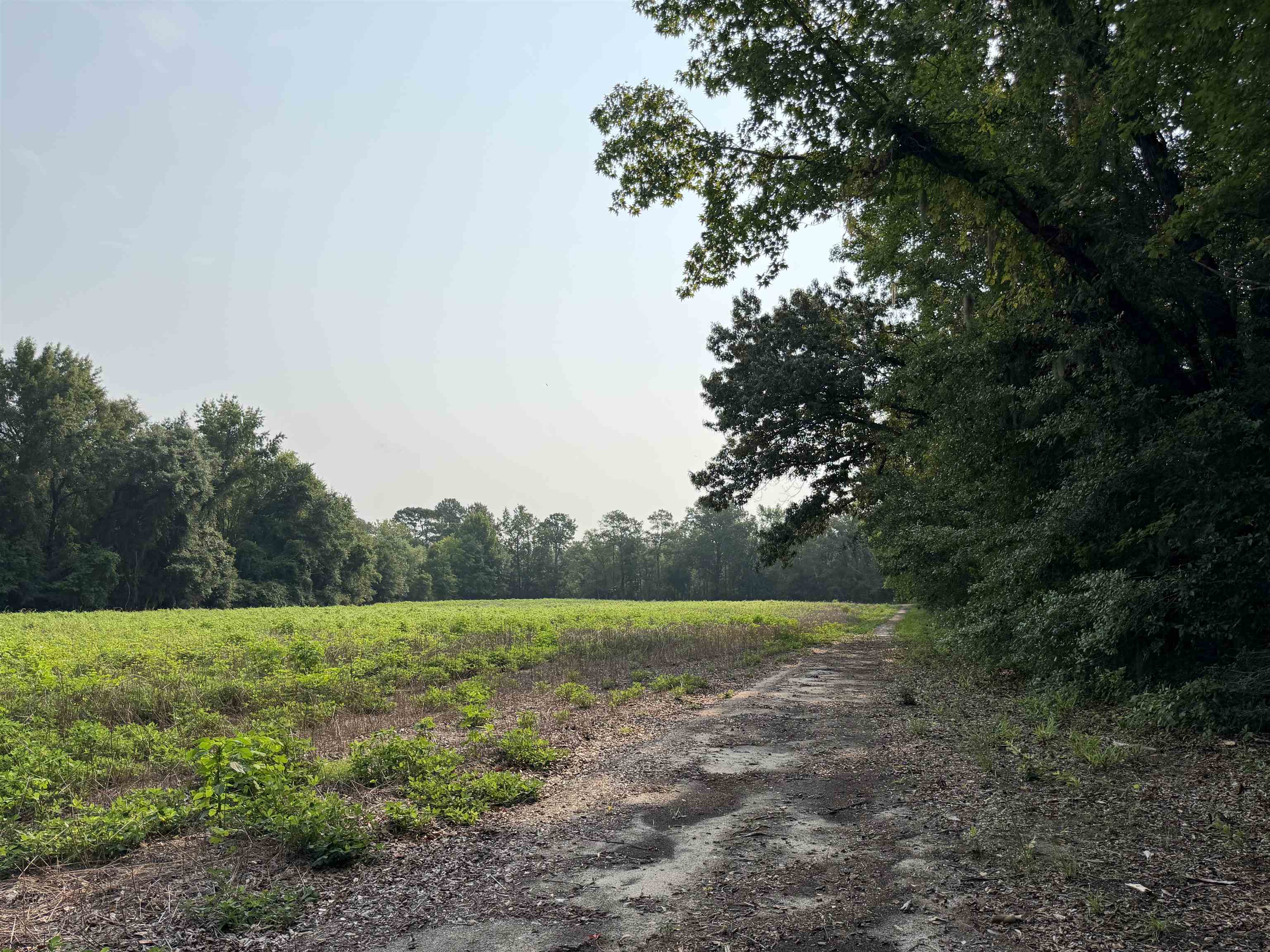 85± Acres - Antler Dr Property Photo 21