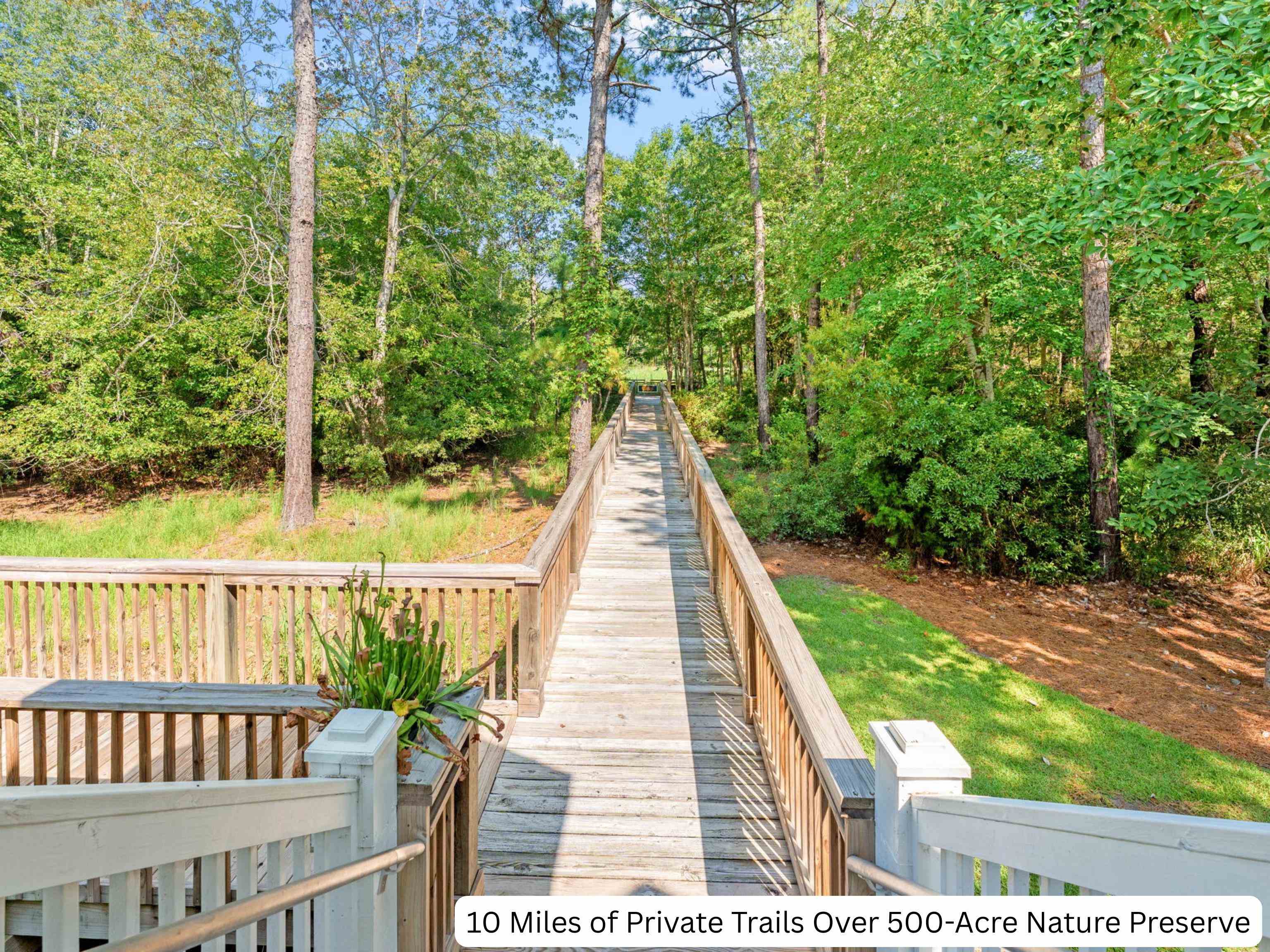 663 Parish Dr. Property Photo 56