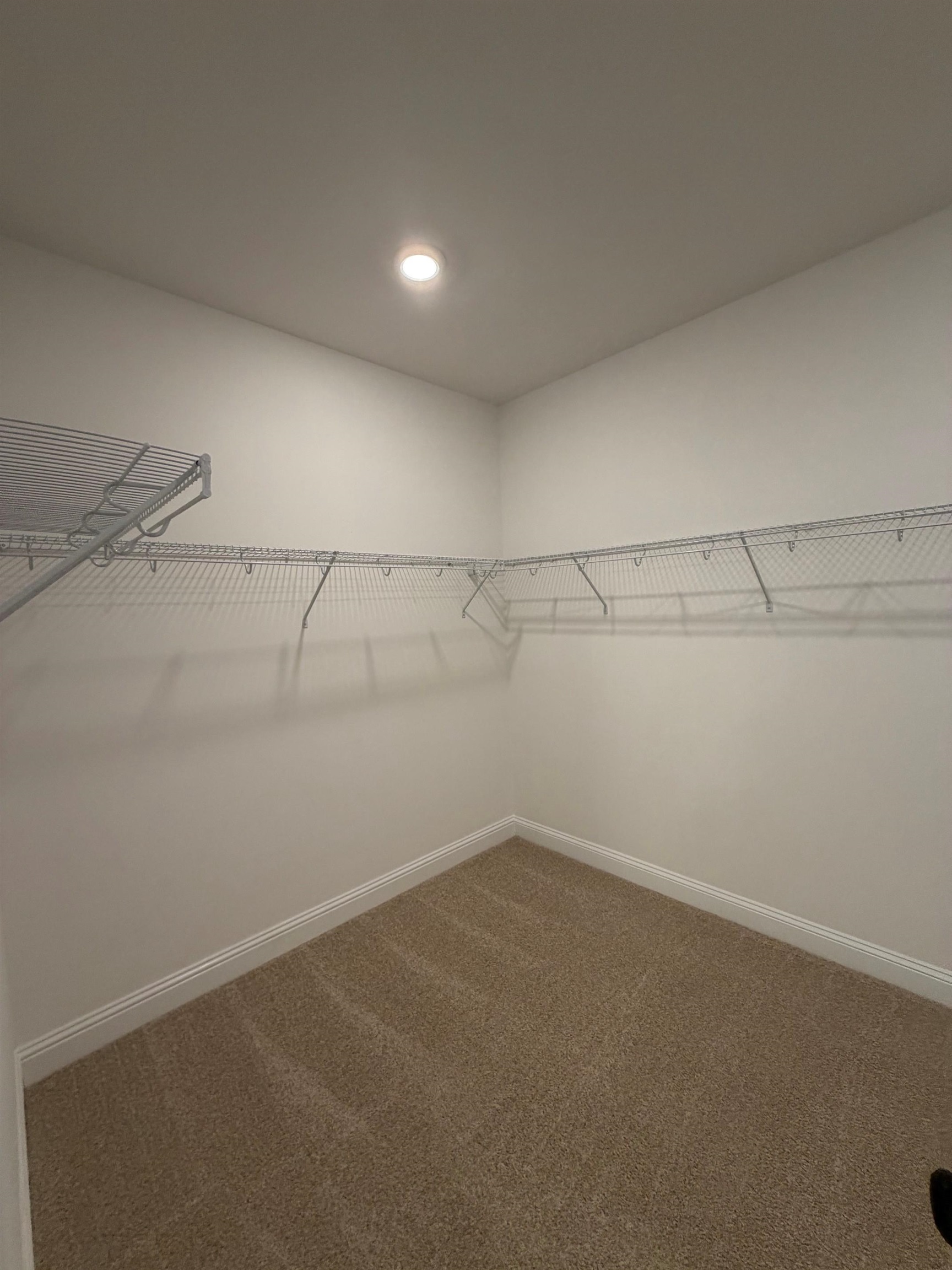 55 Stone Path Property Photo 27