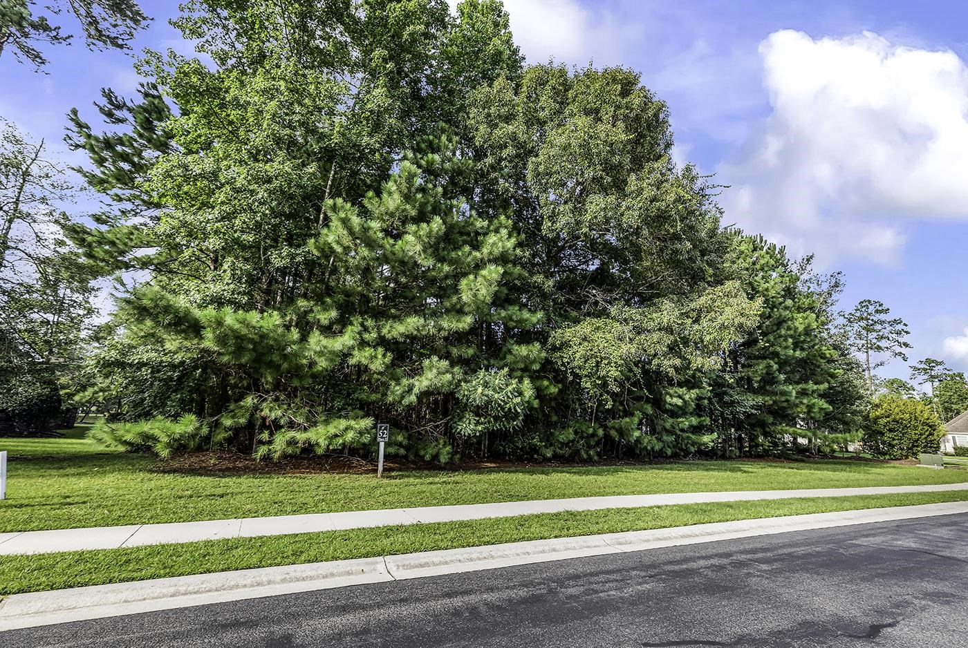 155 Low Country Loop Property Photo 1
