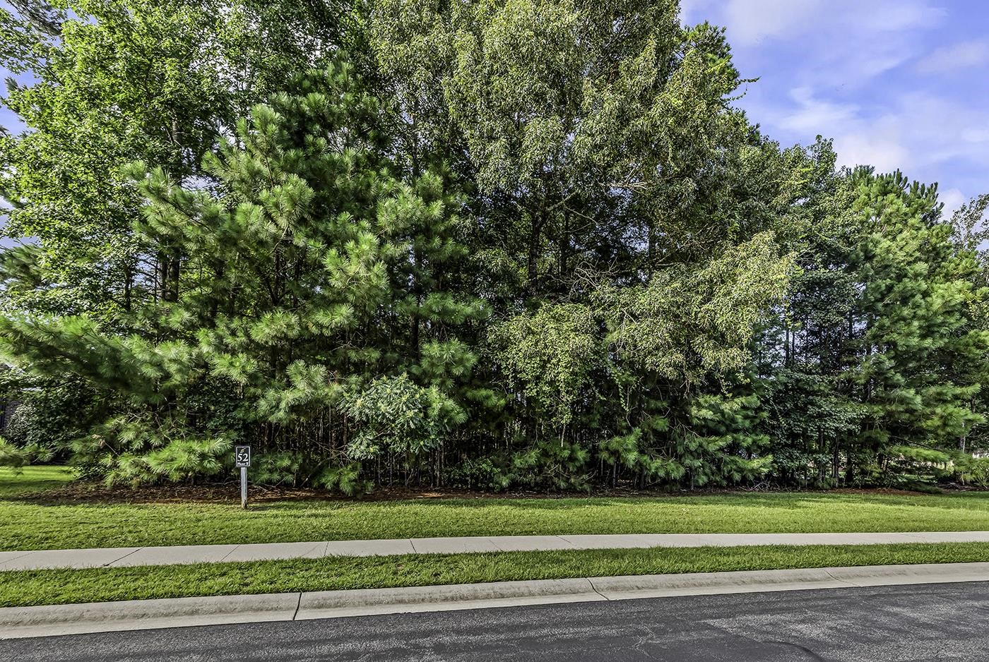 155 Low Country Loop Property Photo 2