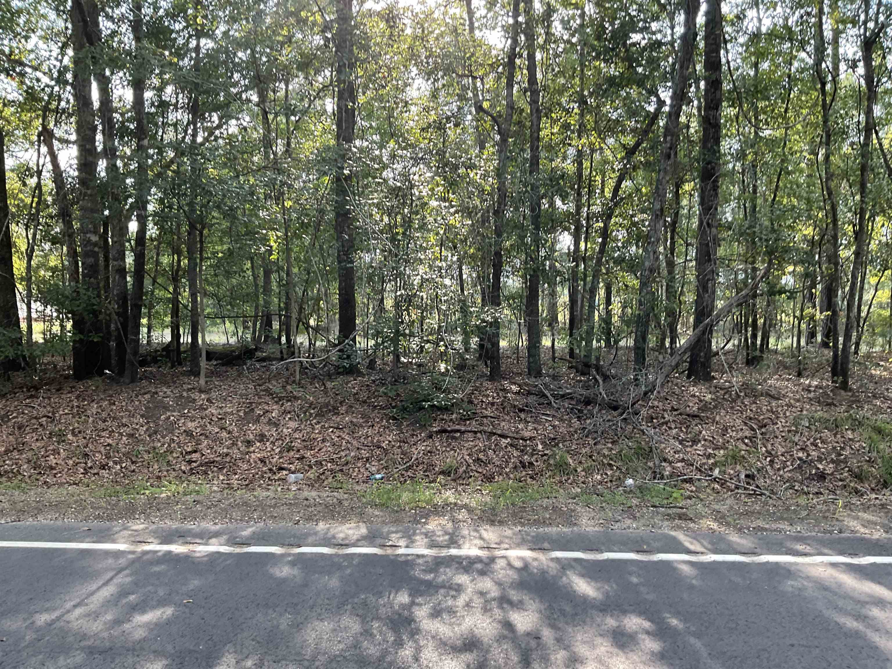 Tbd Village Rd. Property Photo 3