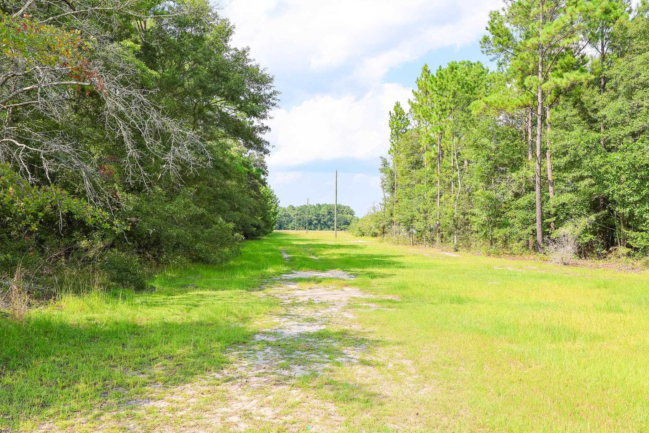 Tbd Mcnabb Shortcut Rd. Property Photo 12