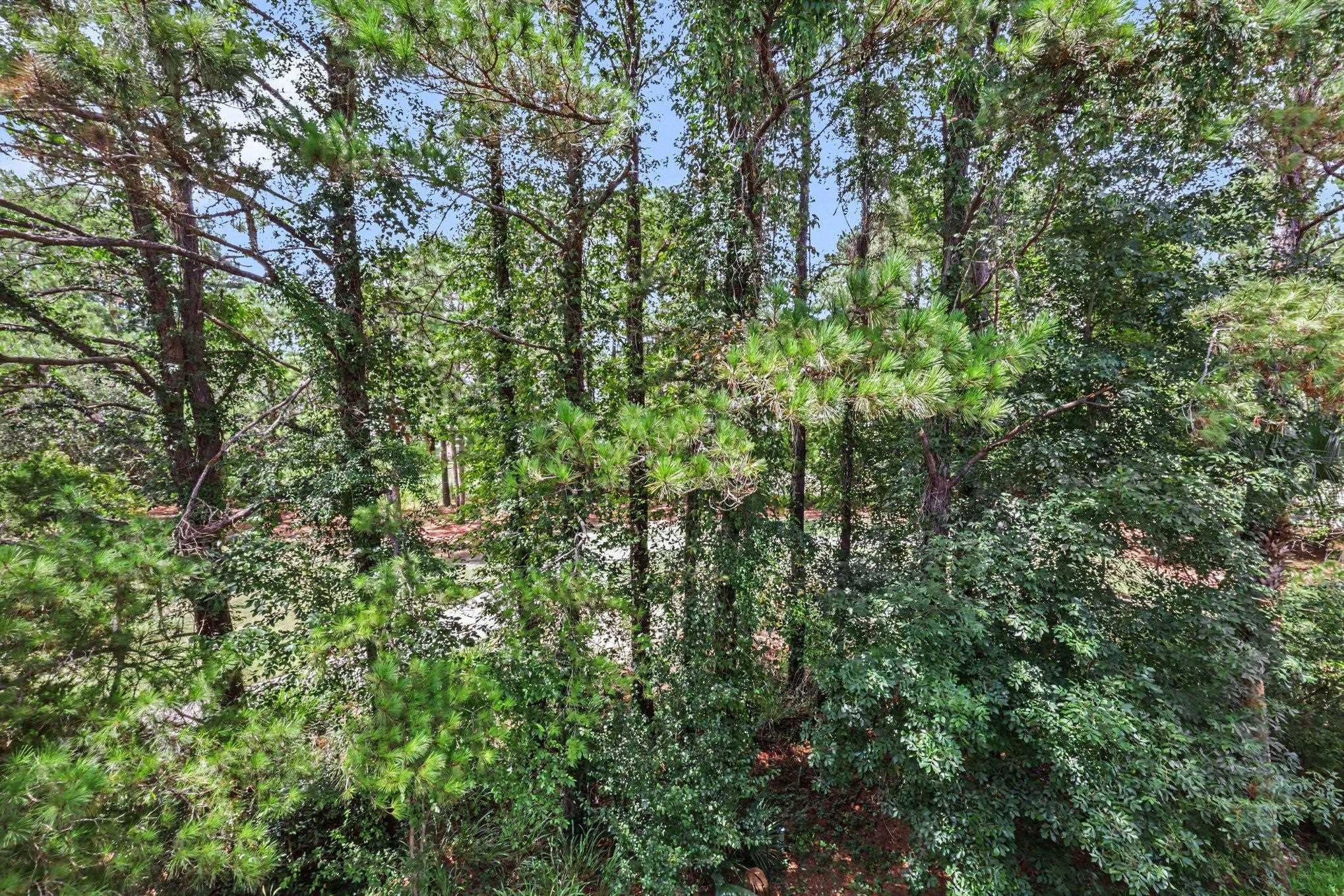 5750 Oyster Catcher Dr. Property Photo 26