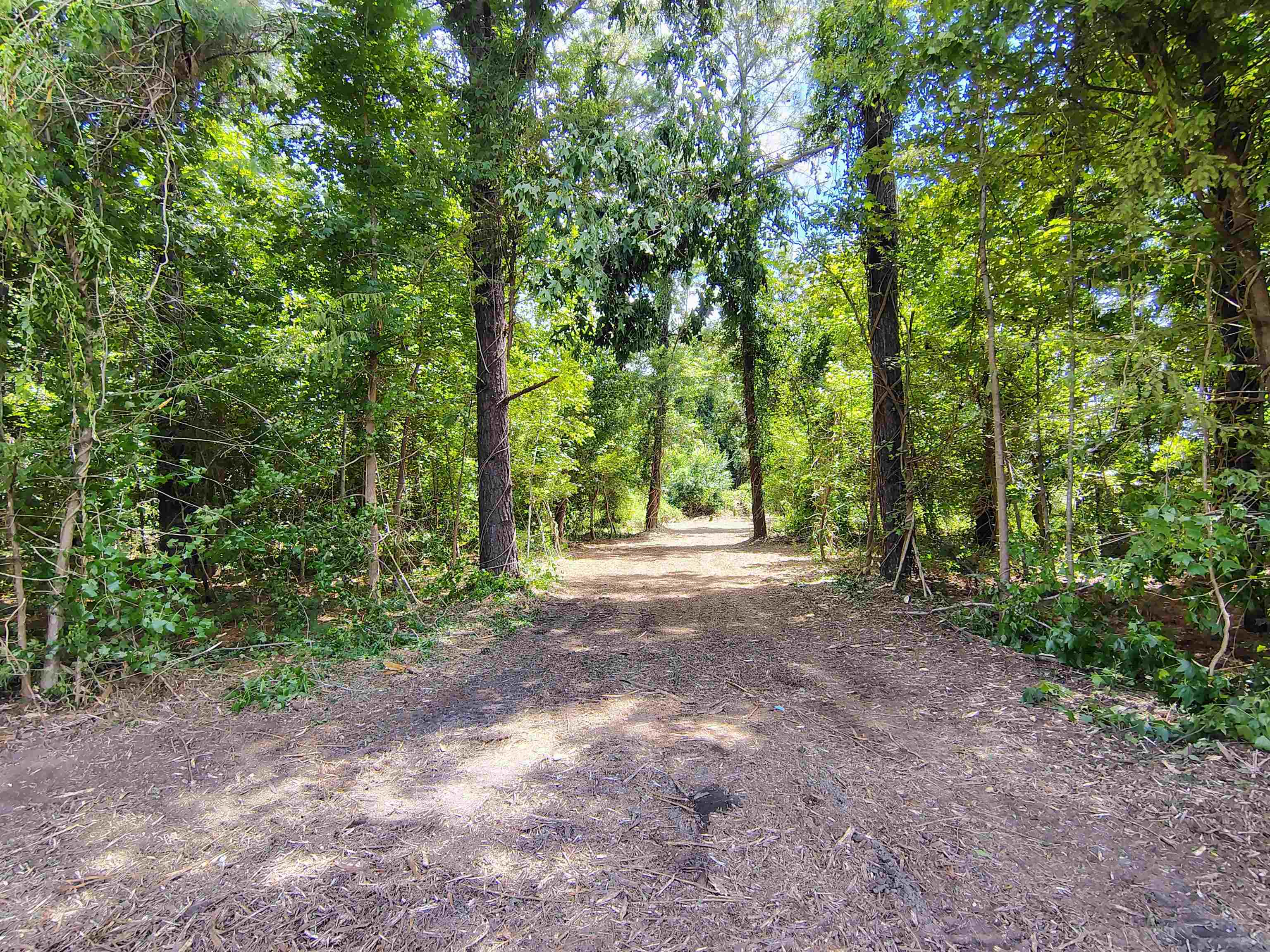 Tbd Hwy 9 Property Photo 13