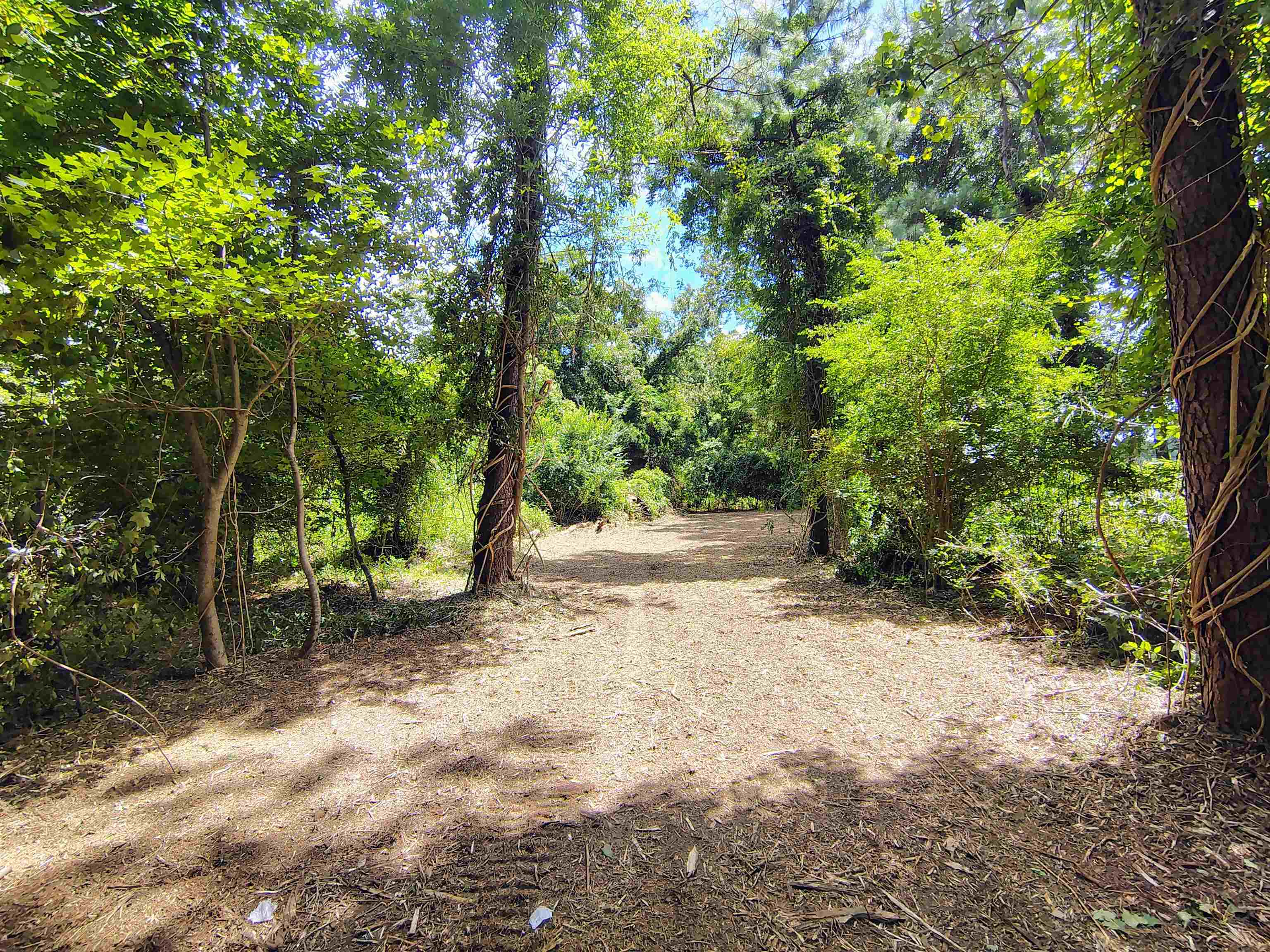 Tbd Hwy 9 Property Photo 14