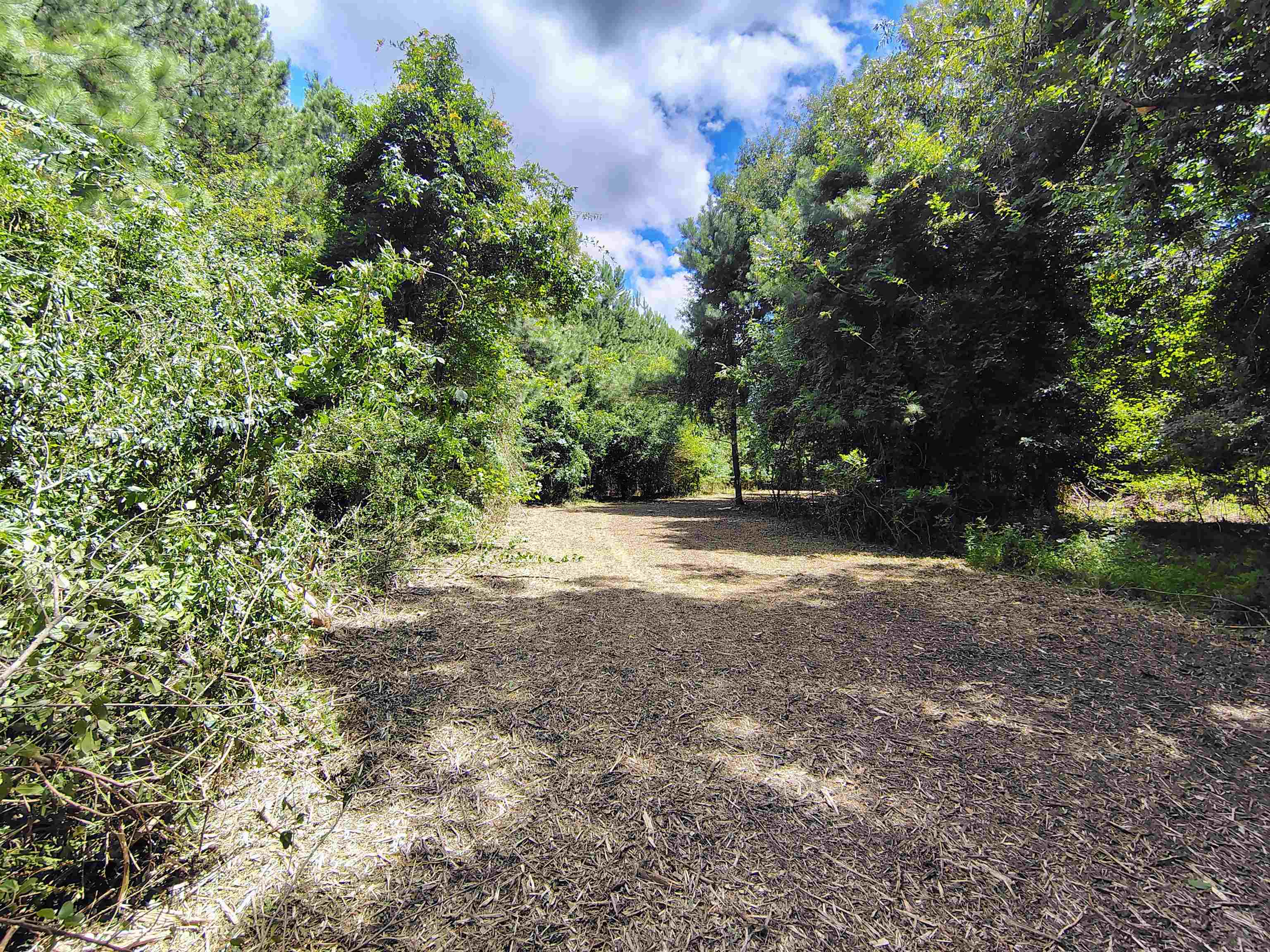 Tbd Hwy 9 Property Photo 15