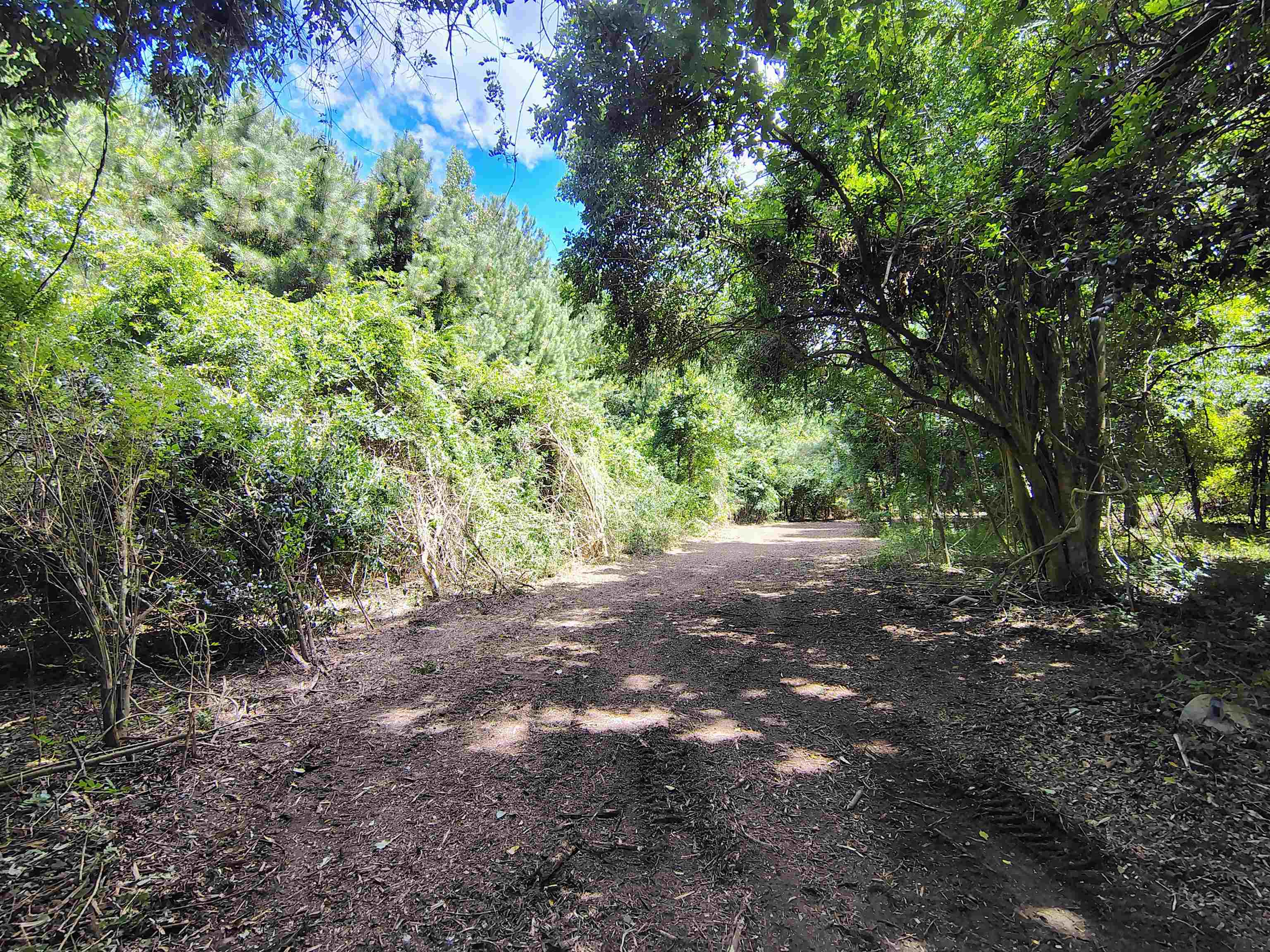 Tbd Hwy 9 Property Photo 16
