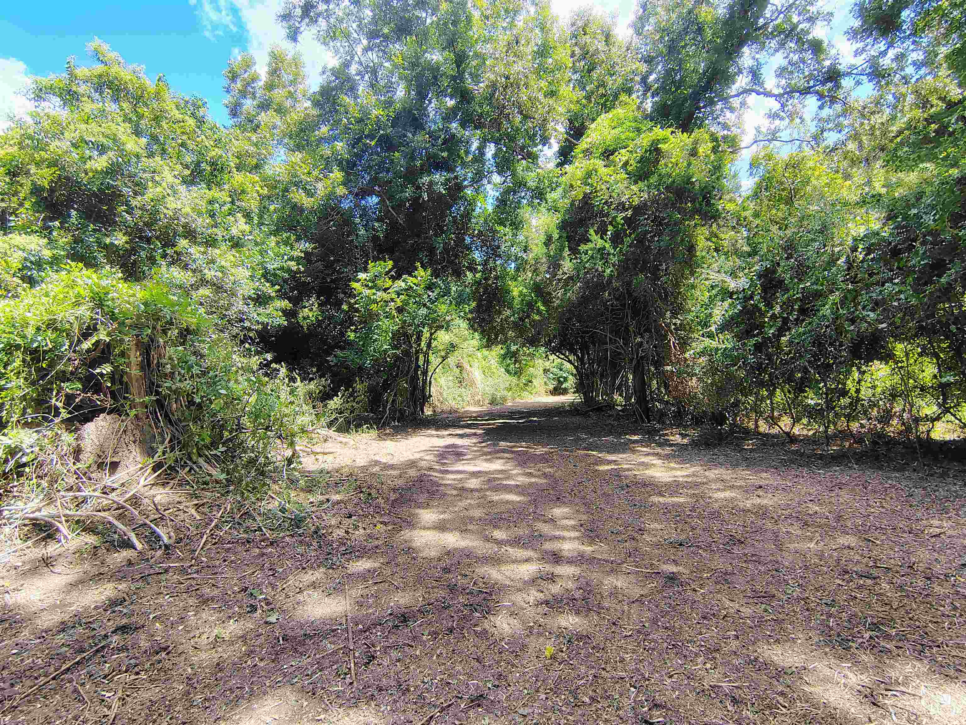 Tbd Hwy 9 Property Photo 17