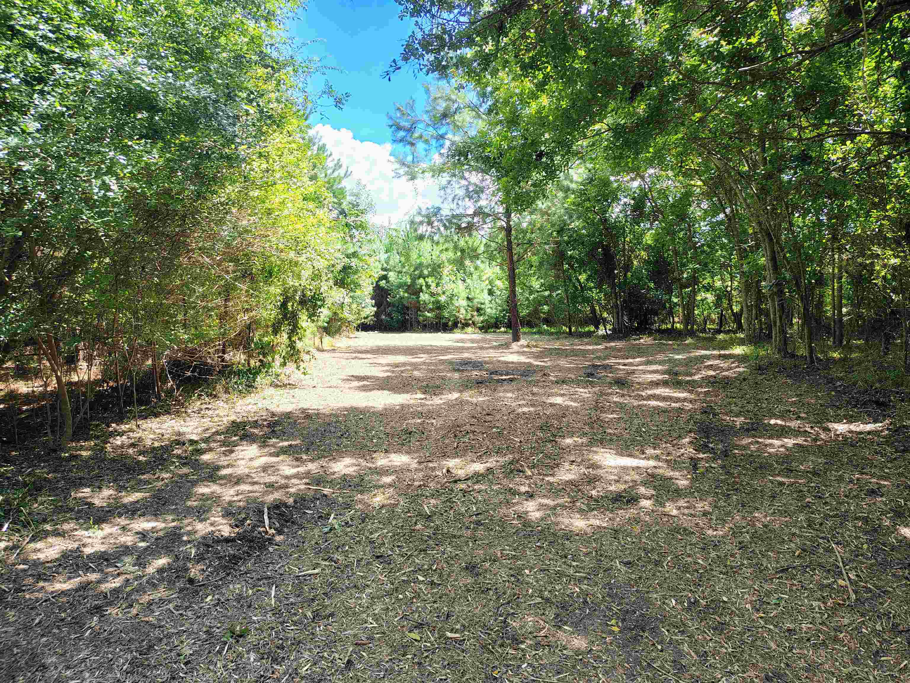 Tbd Hwy 9 Property Photo 18