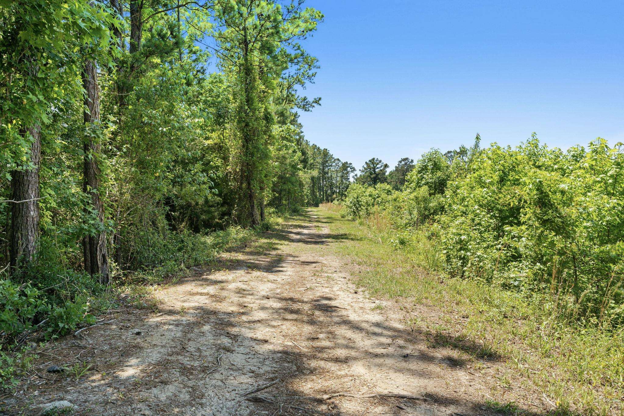 350 Harbour View Dr. Property Photo 36