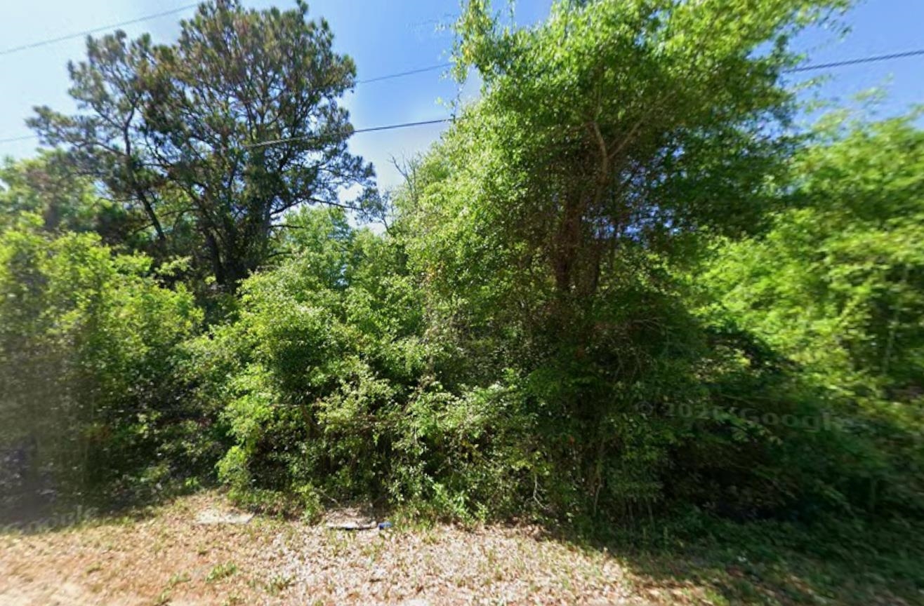 615 Parkersville Rd. Property Photo 4