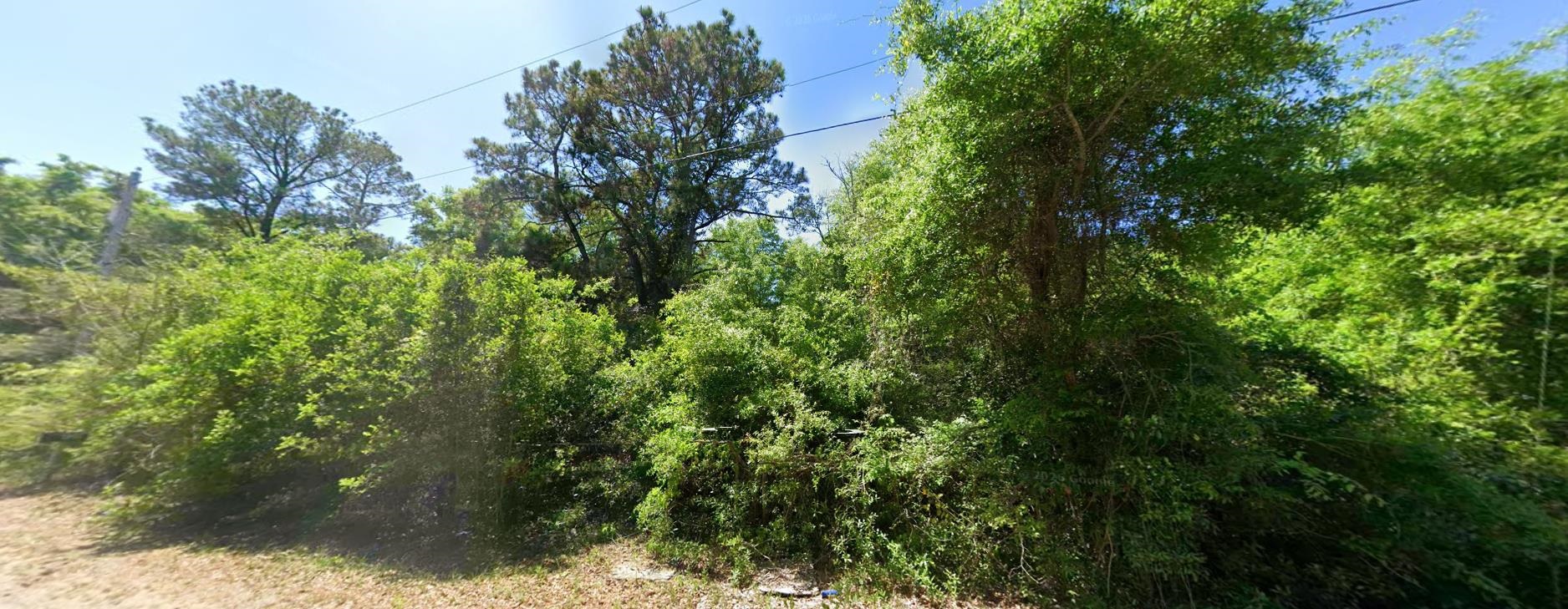 615 Parkersville Rd. Property Photo 5