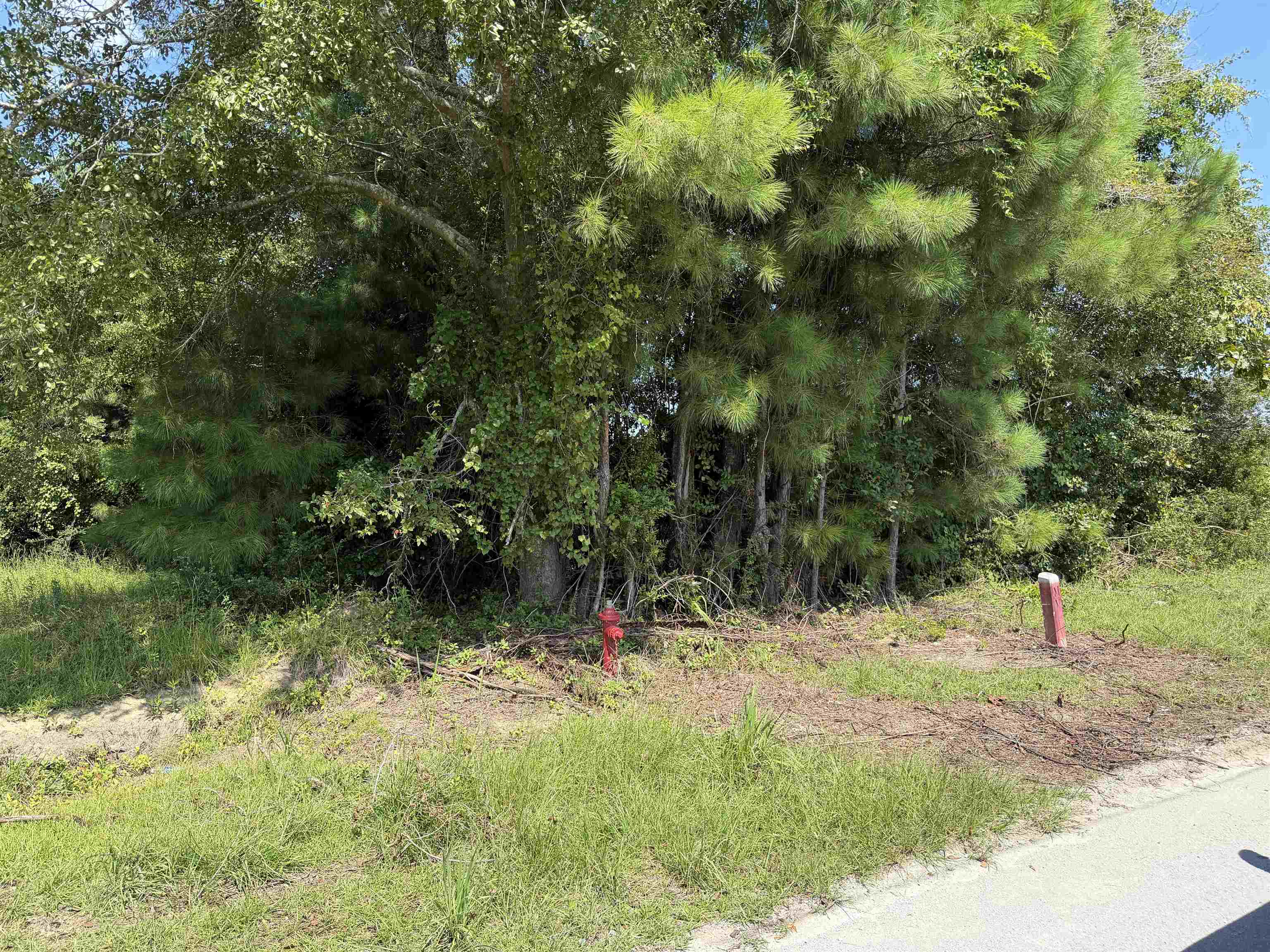 175 Dove Rd. Property Photo 4