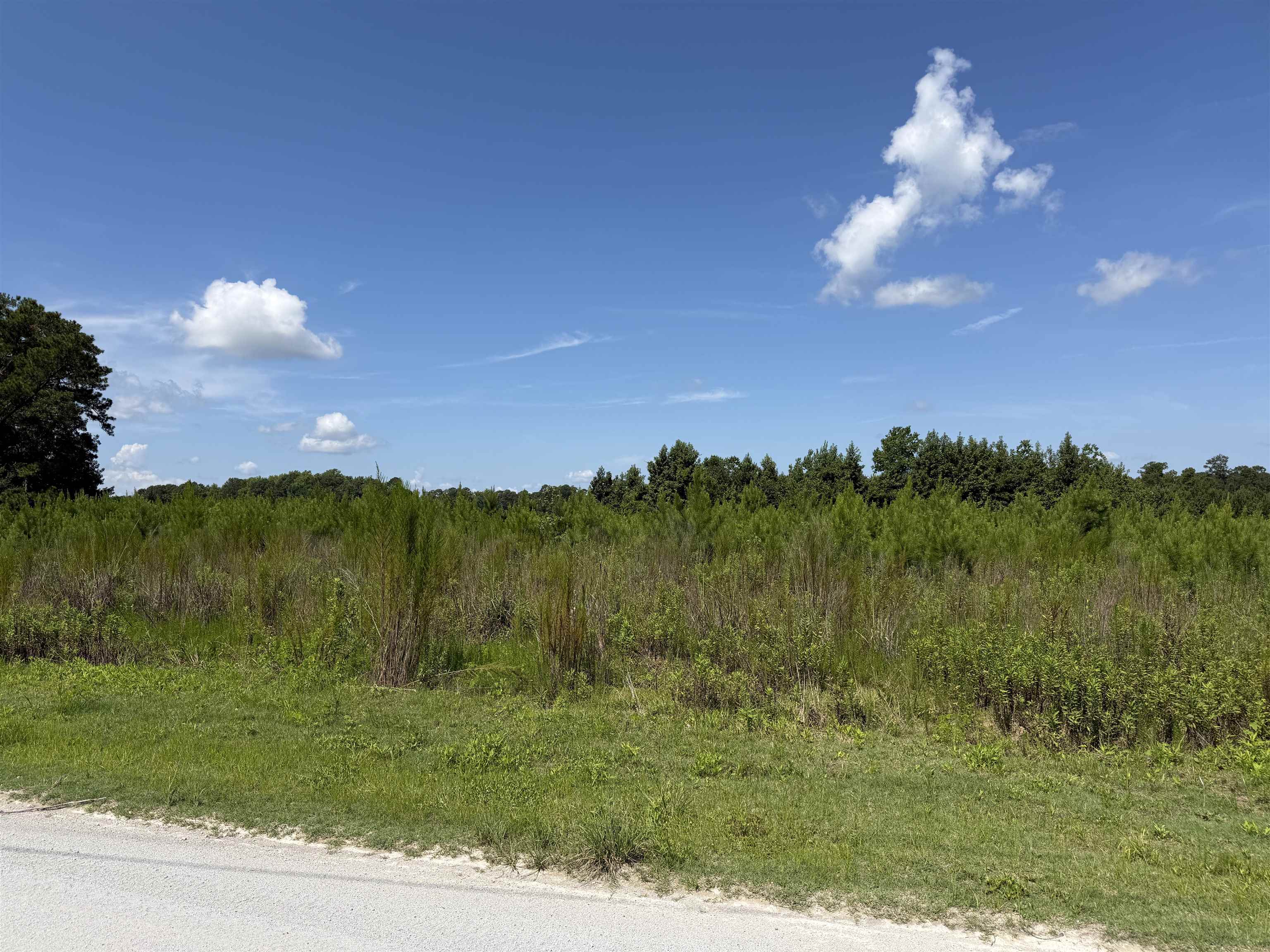 175 Dove Rd. Property Photo 8
