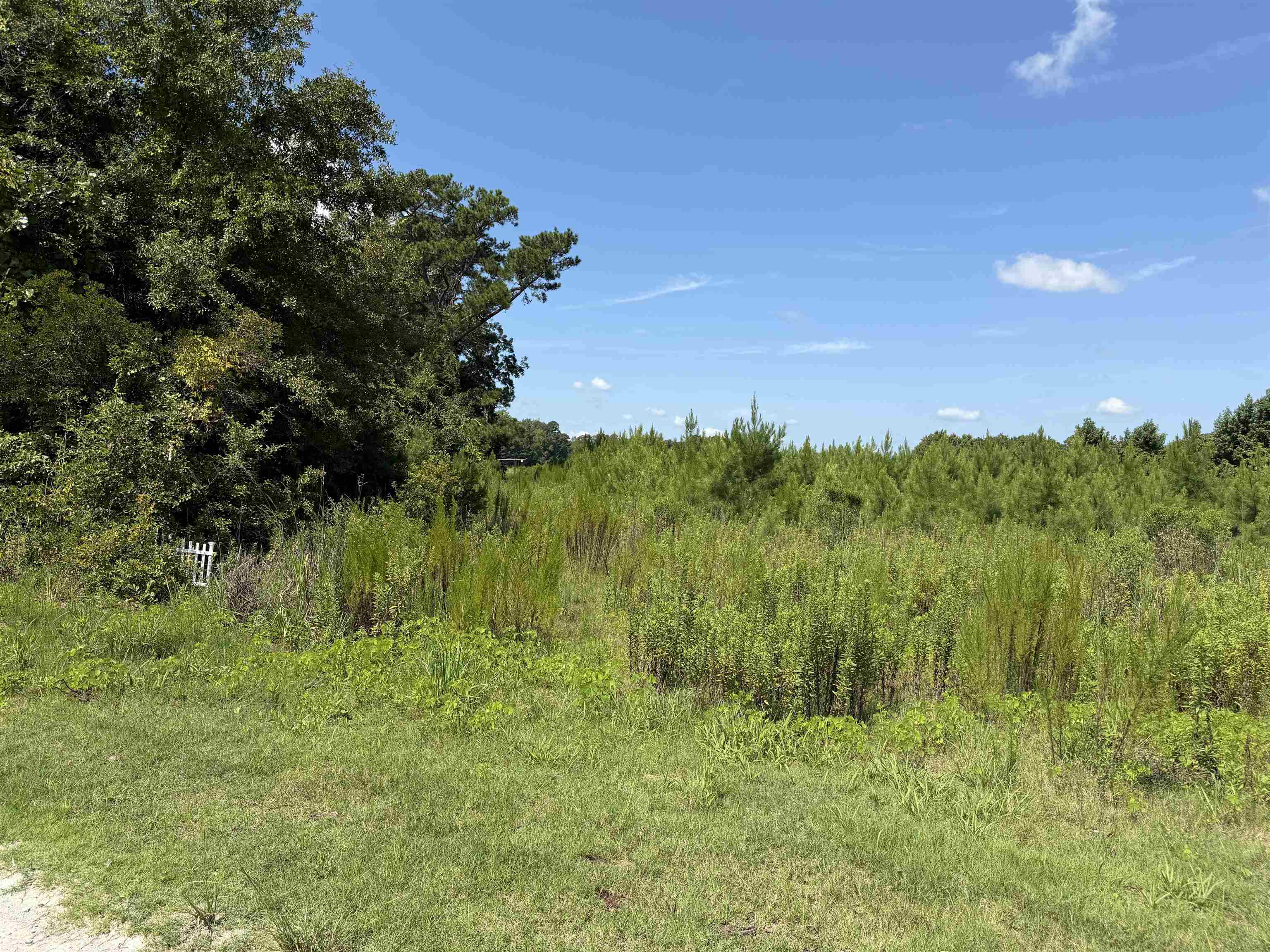 175 Dove Rd. Property Photo 11